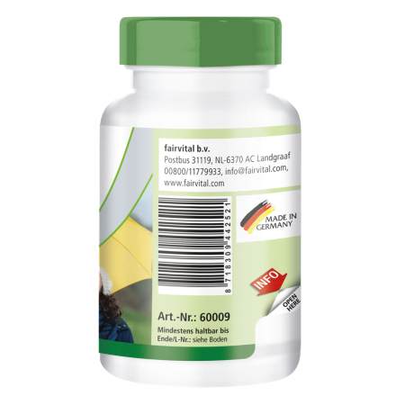 Astragalus Extrakt (90 Kapseln)