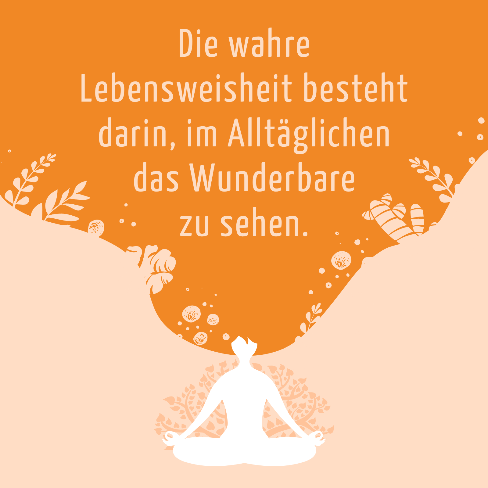 Pink Drink Bio (6 Flaschen)