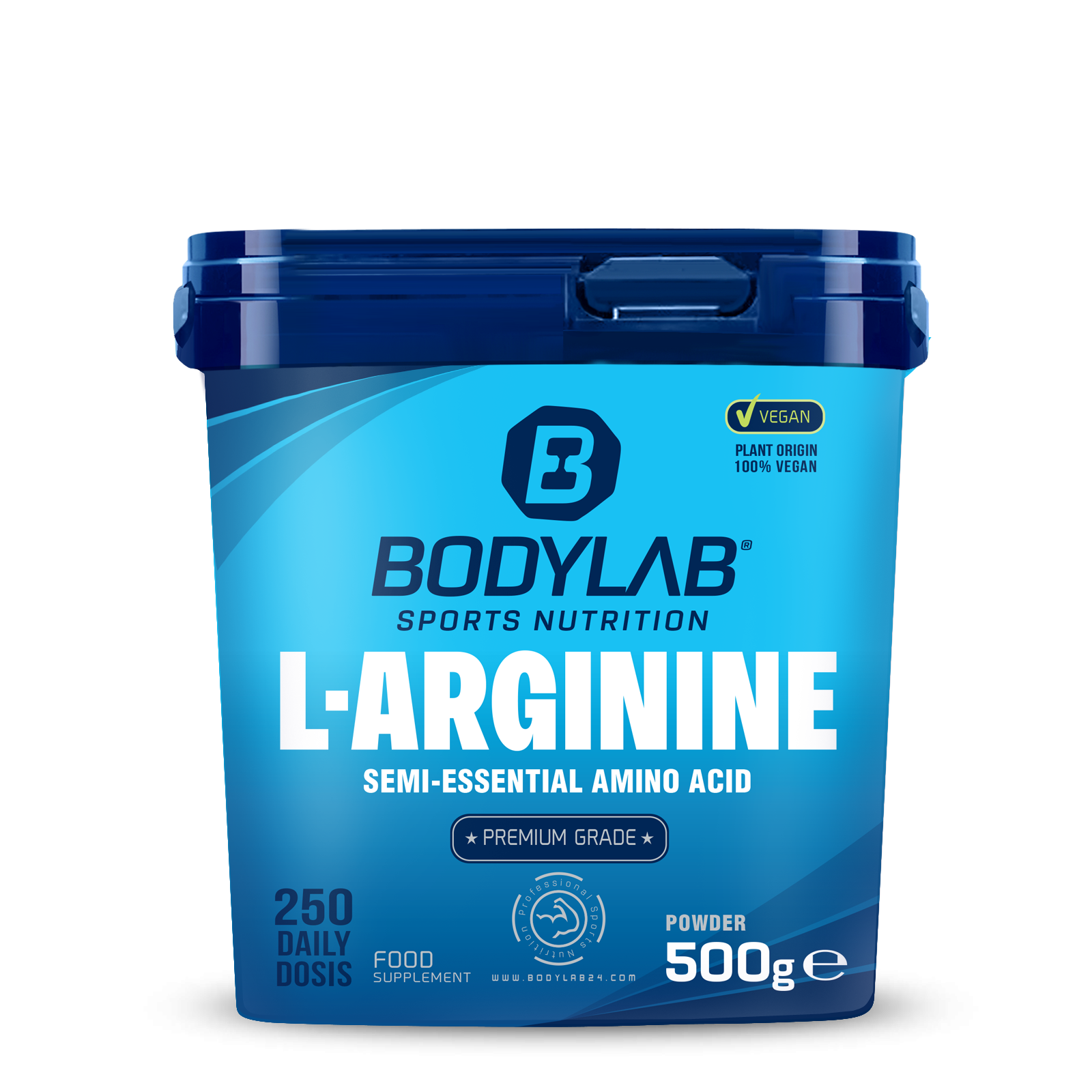Arginine Powder (500g)
