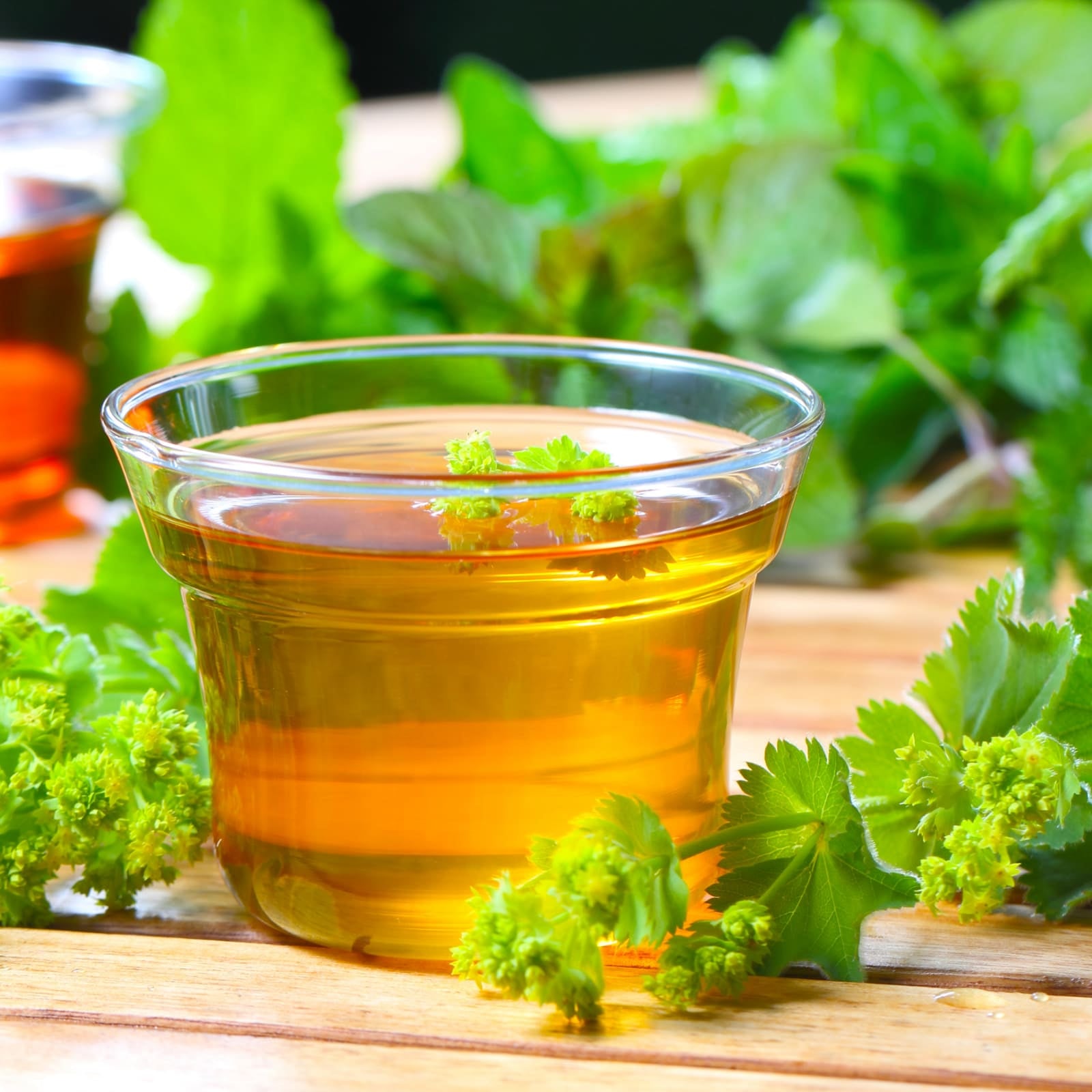 Frauenmantelkraut geschnitten (100g)