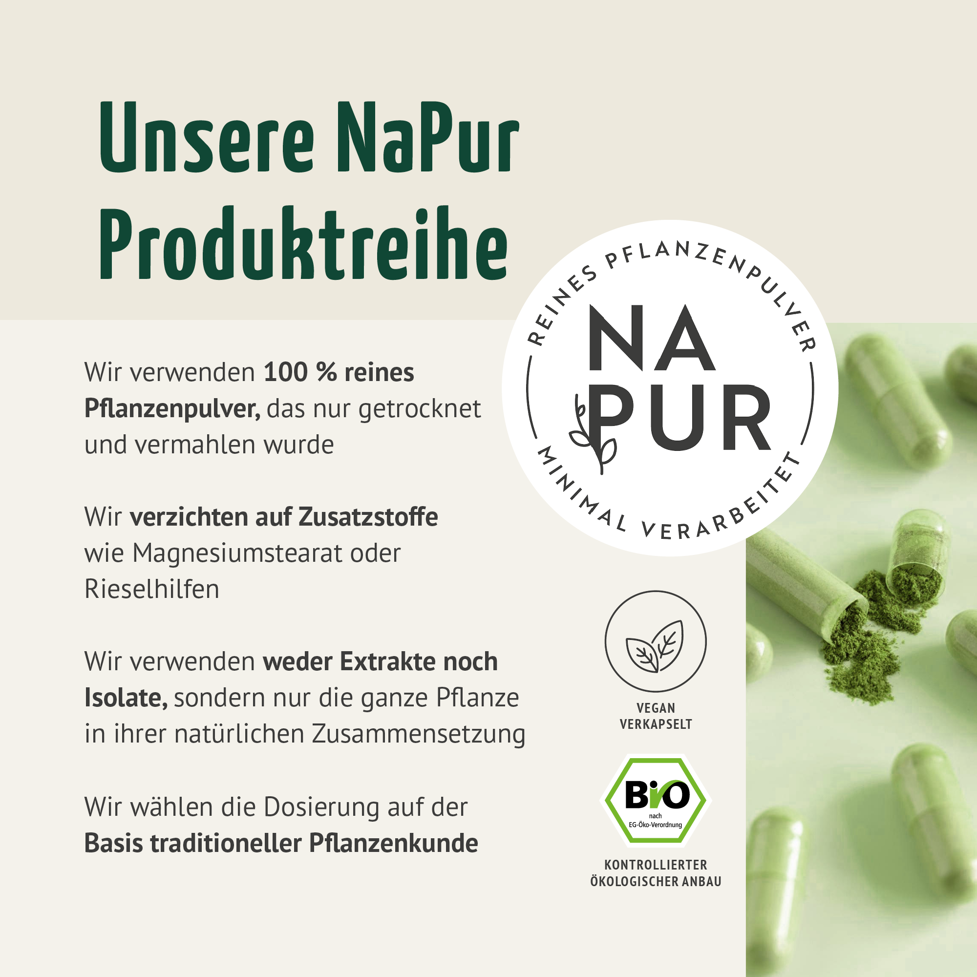Gerstengras Kapseln Bio Nachfüllpack (400 Kapseln)