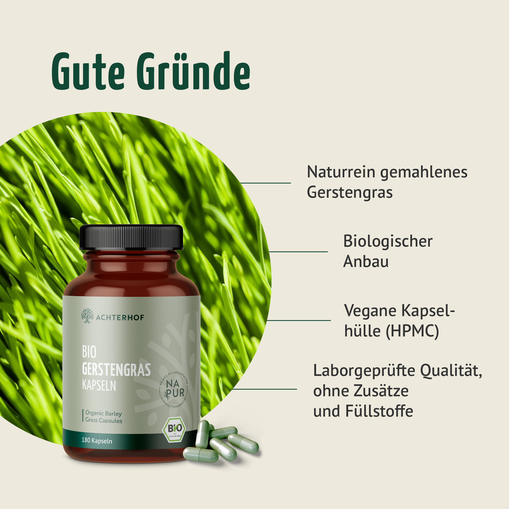 Gerstengras Kapseln Bio (180 Kapseln)