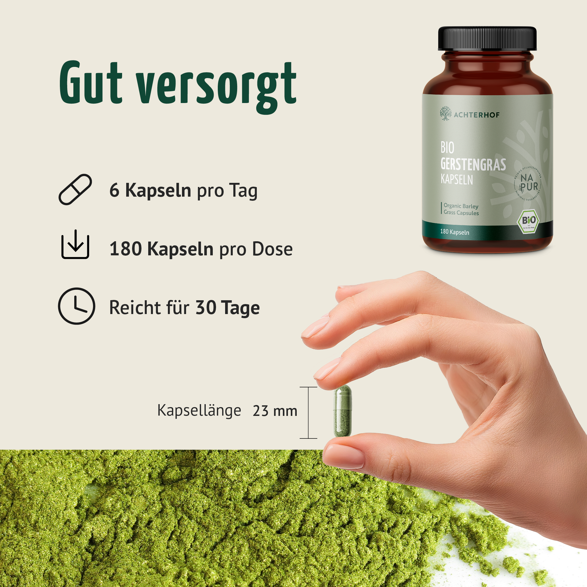 Gerstengras Kapseln Bio (180 Kapseln)