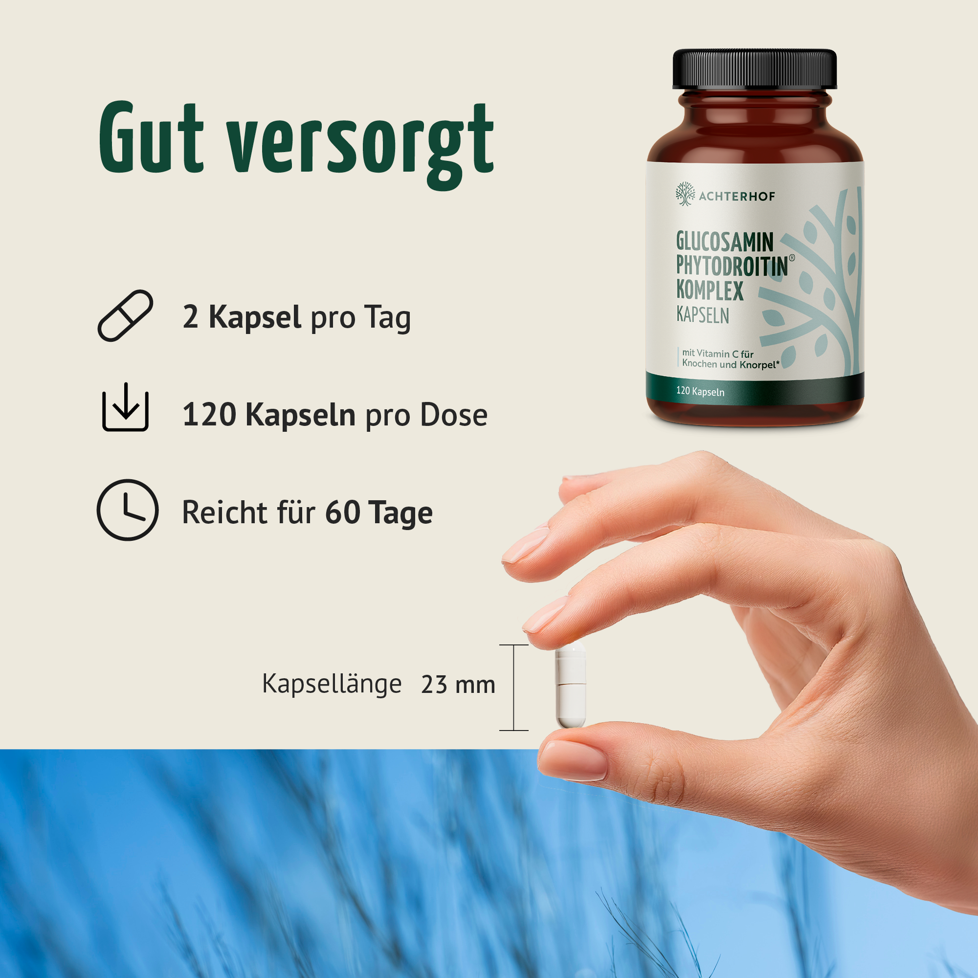 Glucosamin Phytodroitin® Komplex Kapseln (120 Kapseln)
