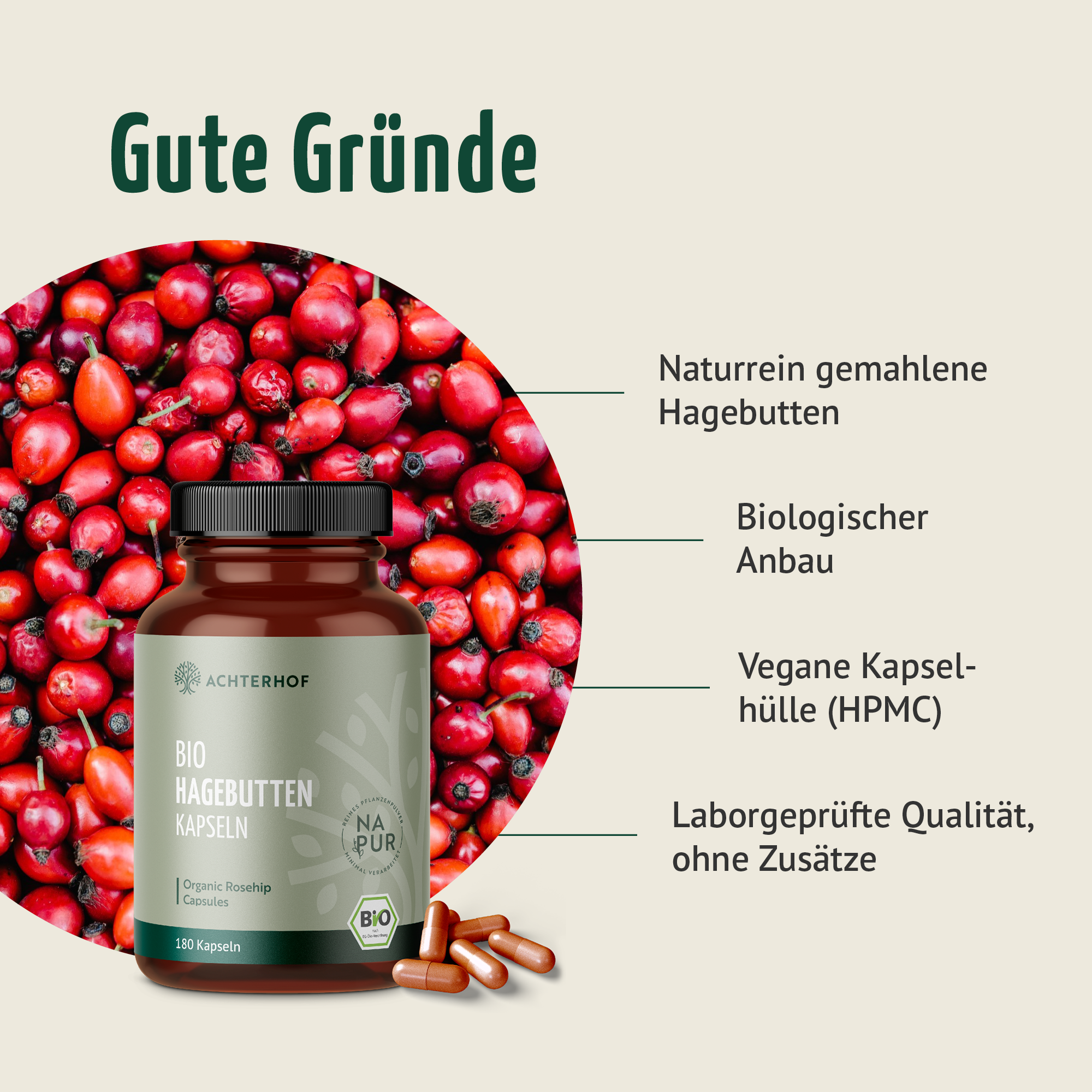 Hagebutten Kapseln Bio (180 Kapseln)
