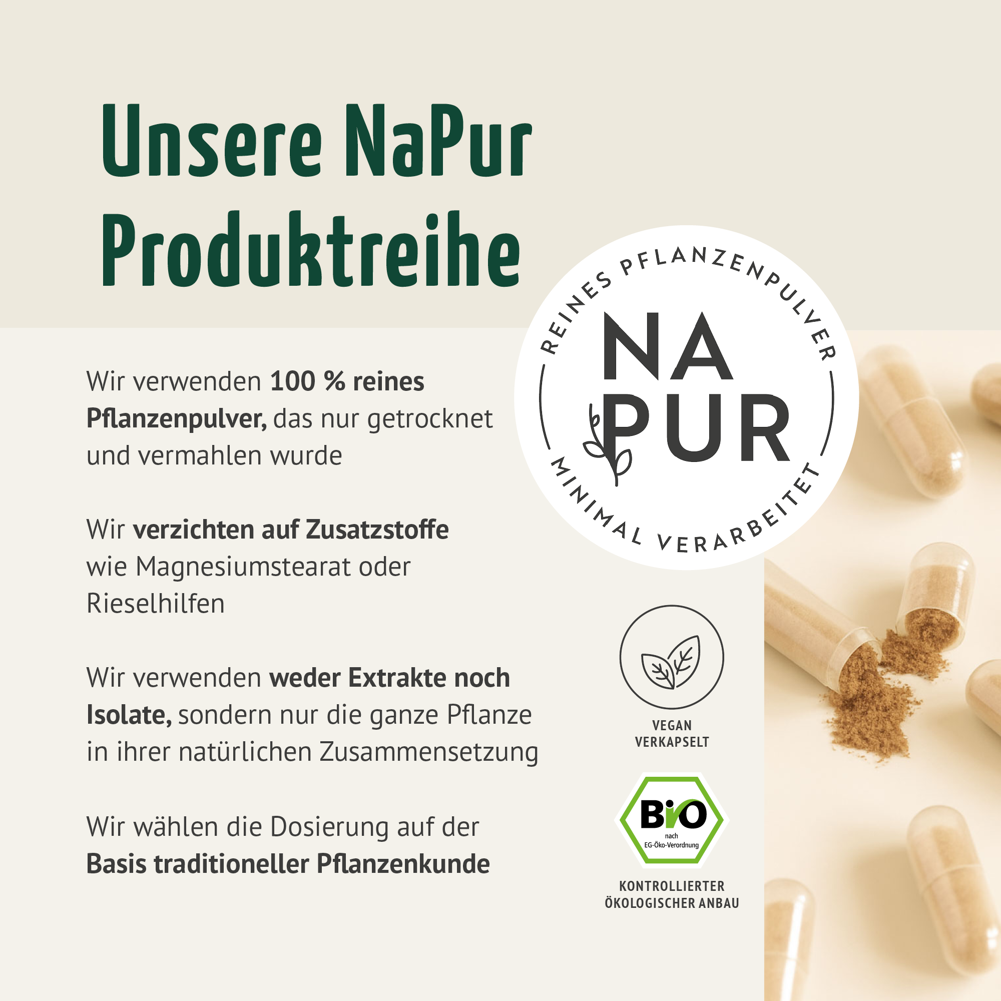 Ingwer Kapseln Bio (160 Kapseln)