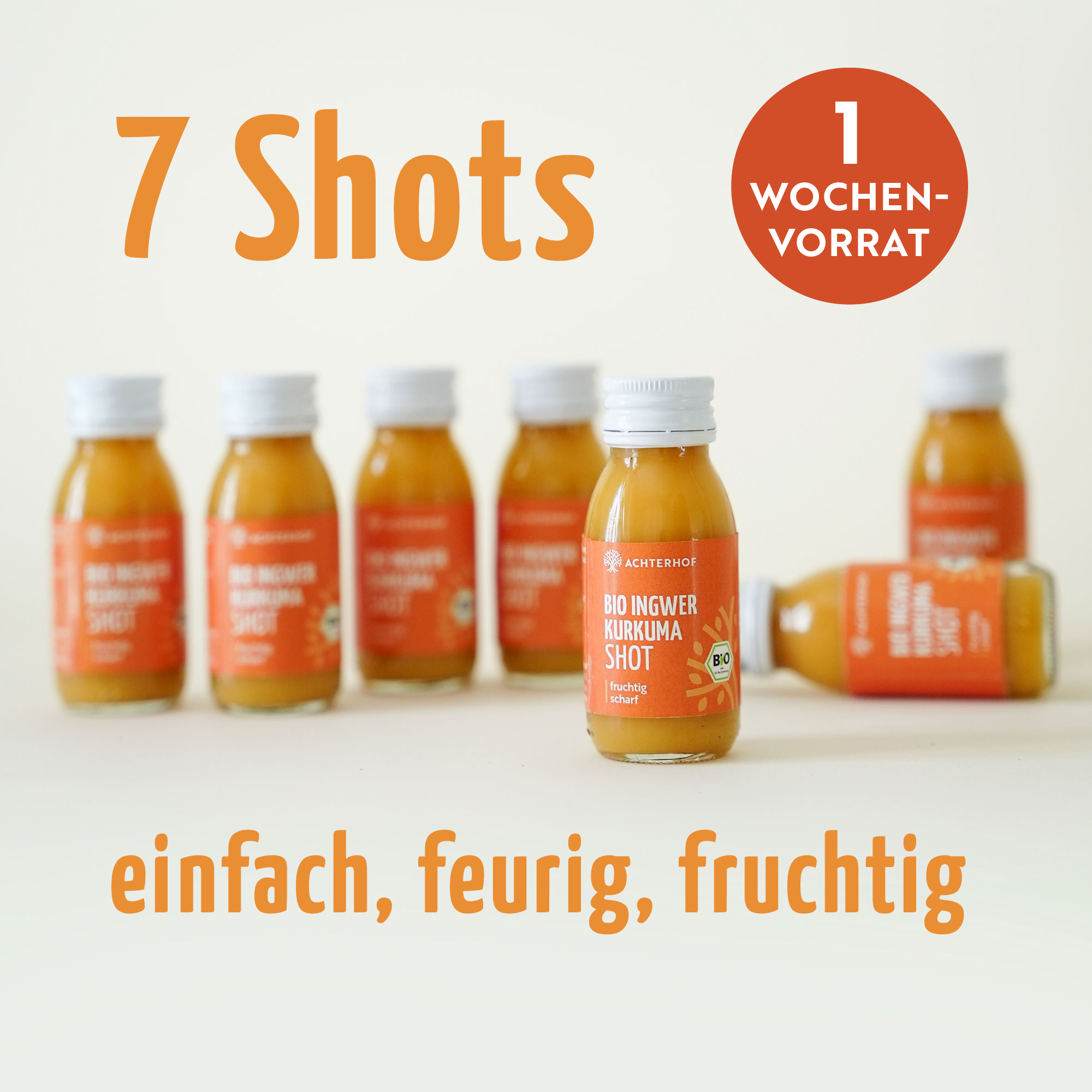 Fastendrinks 6 Flaschen Kräuterwunder Bio