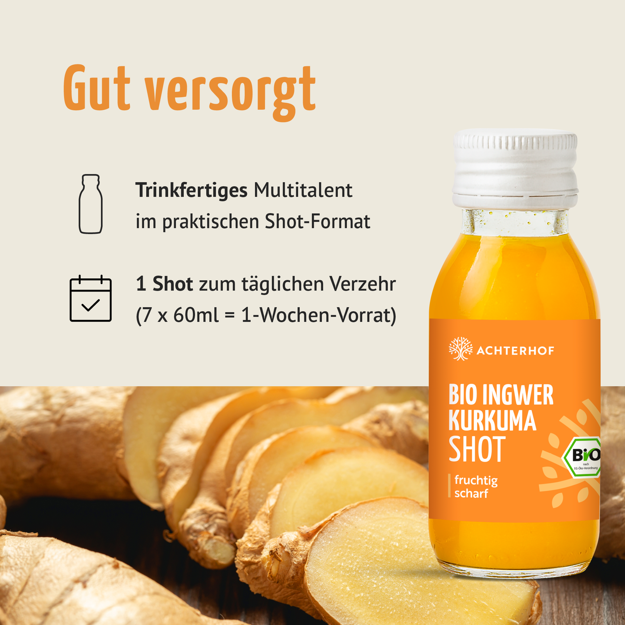 Fastendrinks 6 Flaschen Kräuterwunder Bio