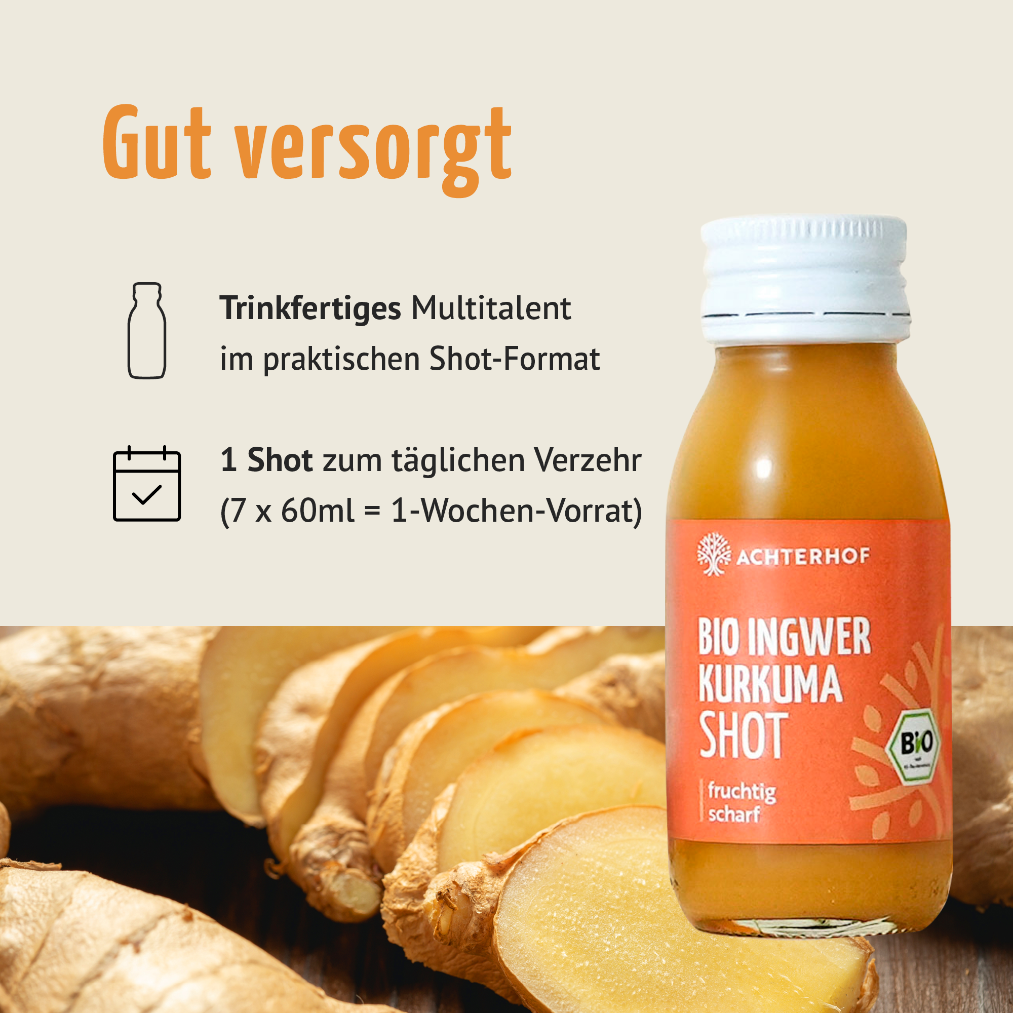 Bio Ingwer Kurkuma Shot (7 x 60ml)