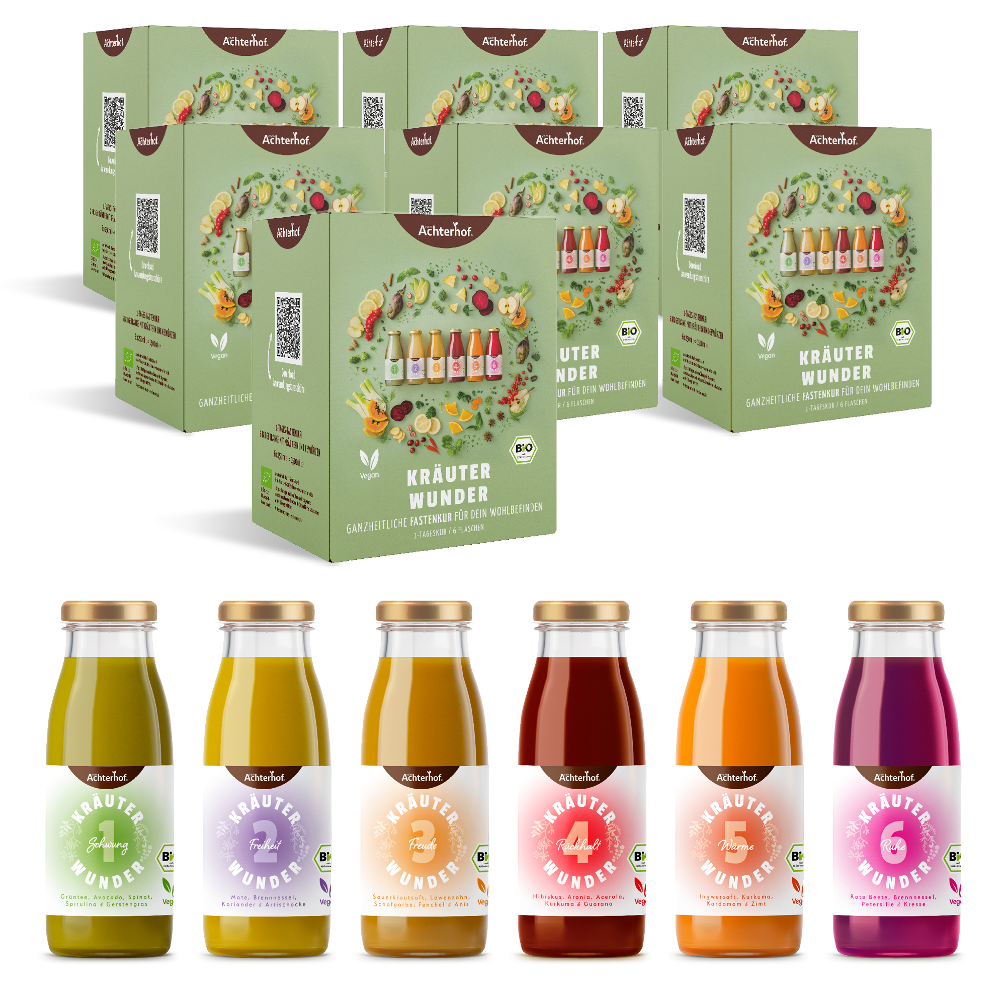 Fastendrinks 42 Flaschen Kräuterwunder Bio (7-Tageskur)