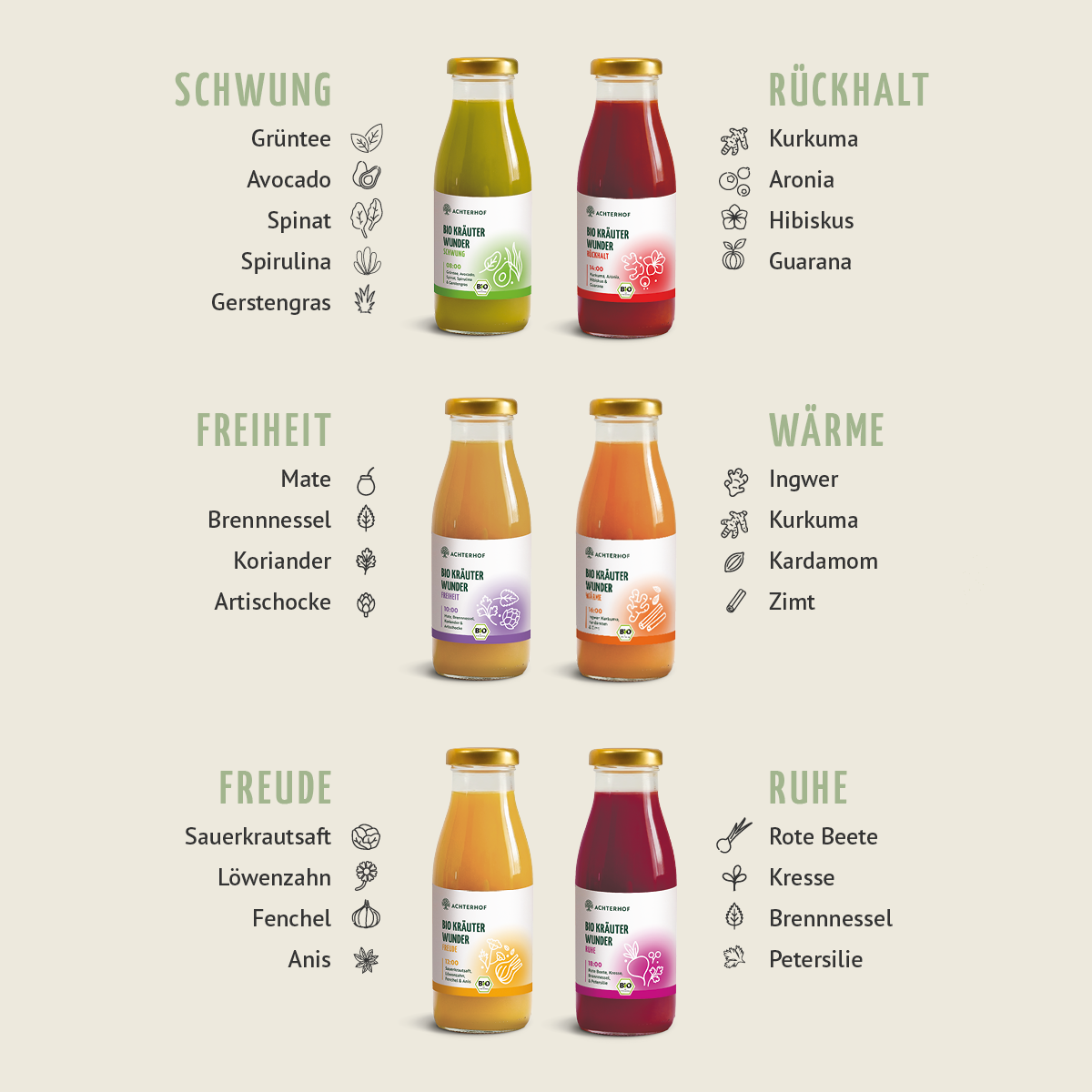 Kräuterwunder Bio Fastenkur 3 Tage (18 Flaschen)