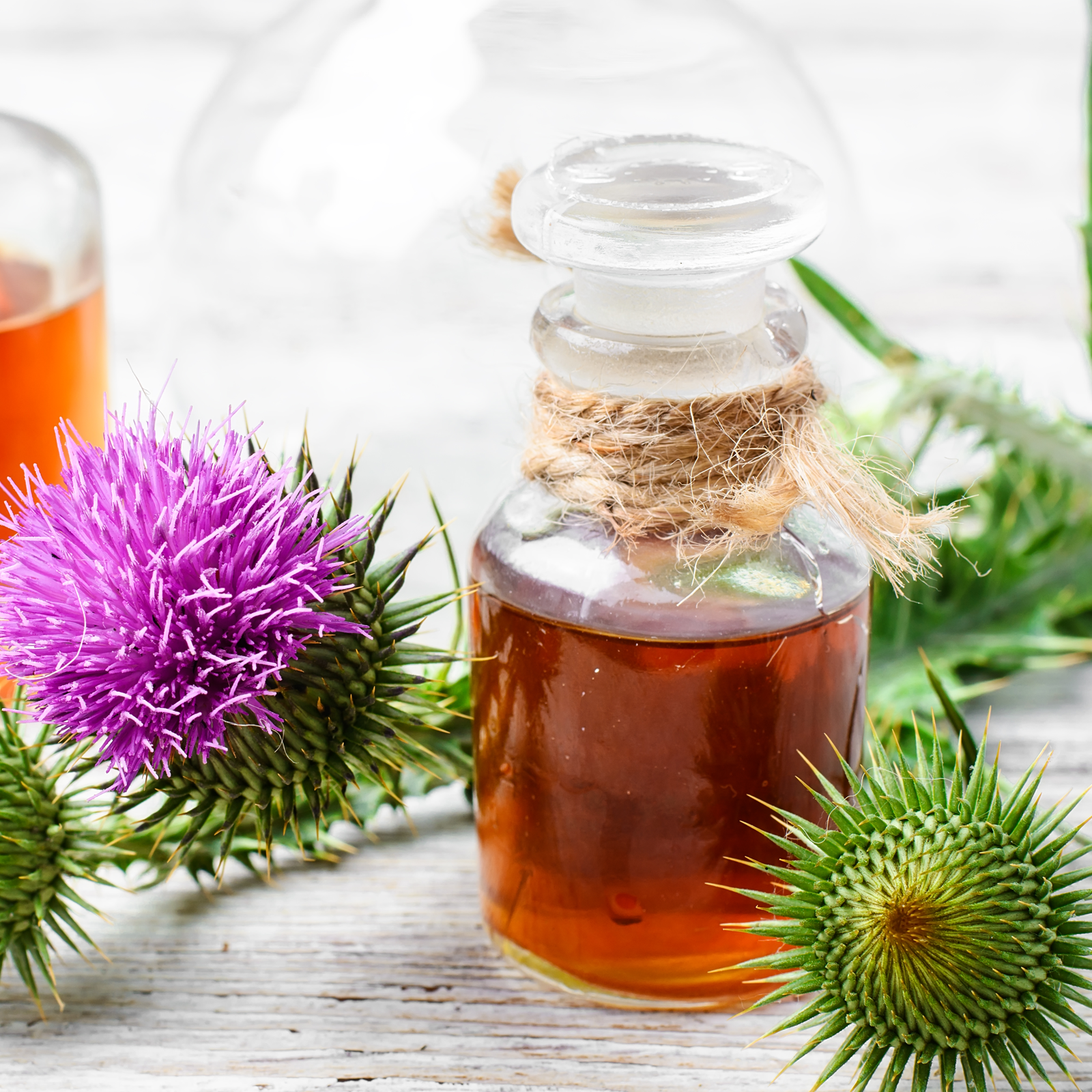 Mariendistelkraut (250g)