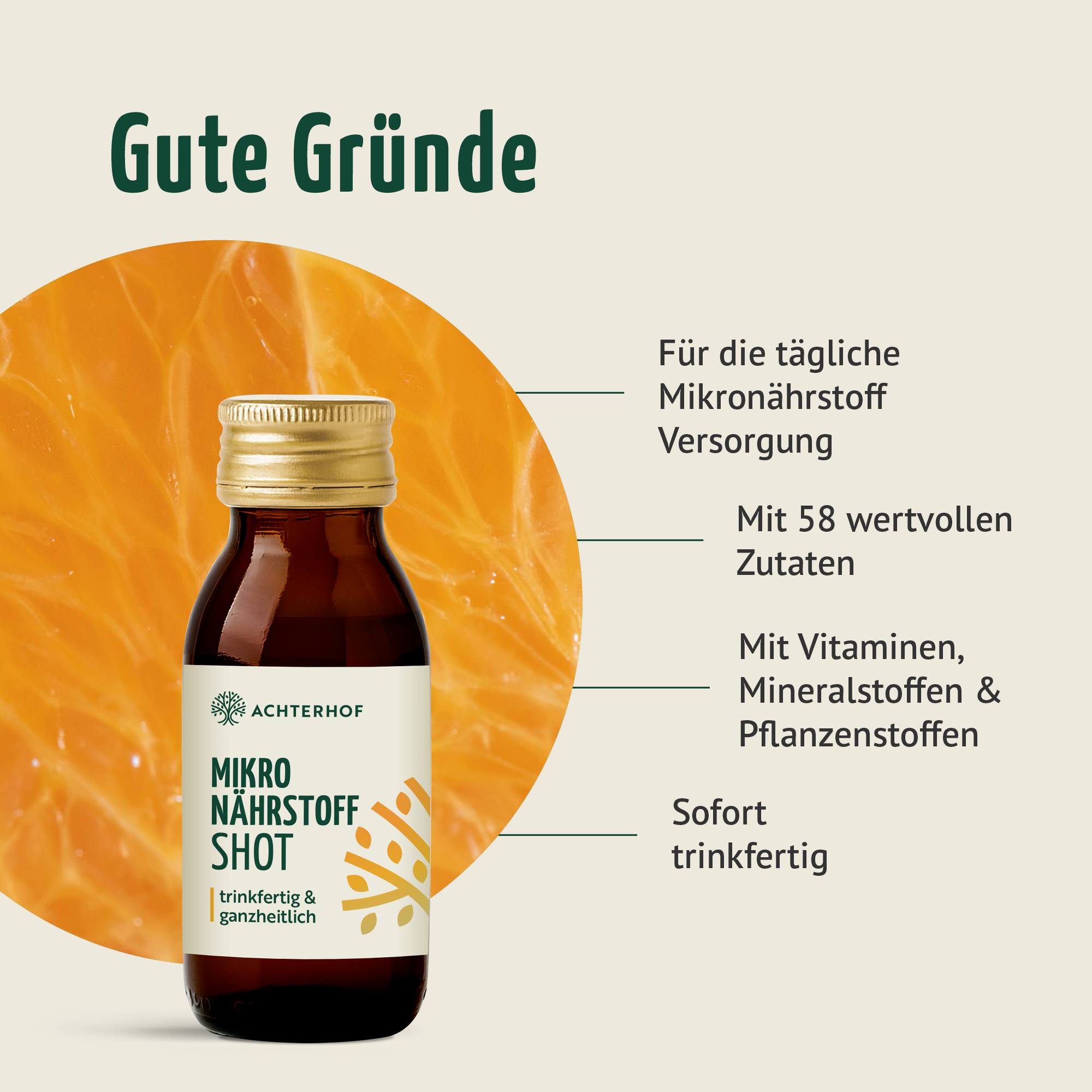 Fastendrinks 6 Flaschen Kräuterwunder Bio