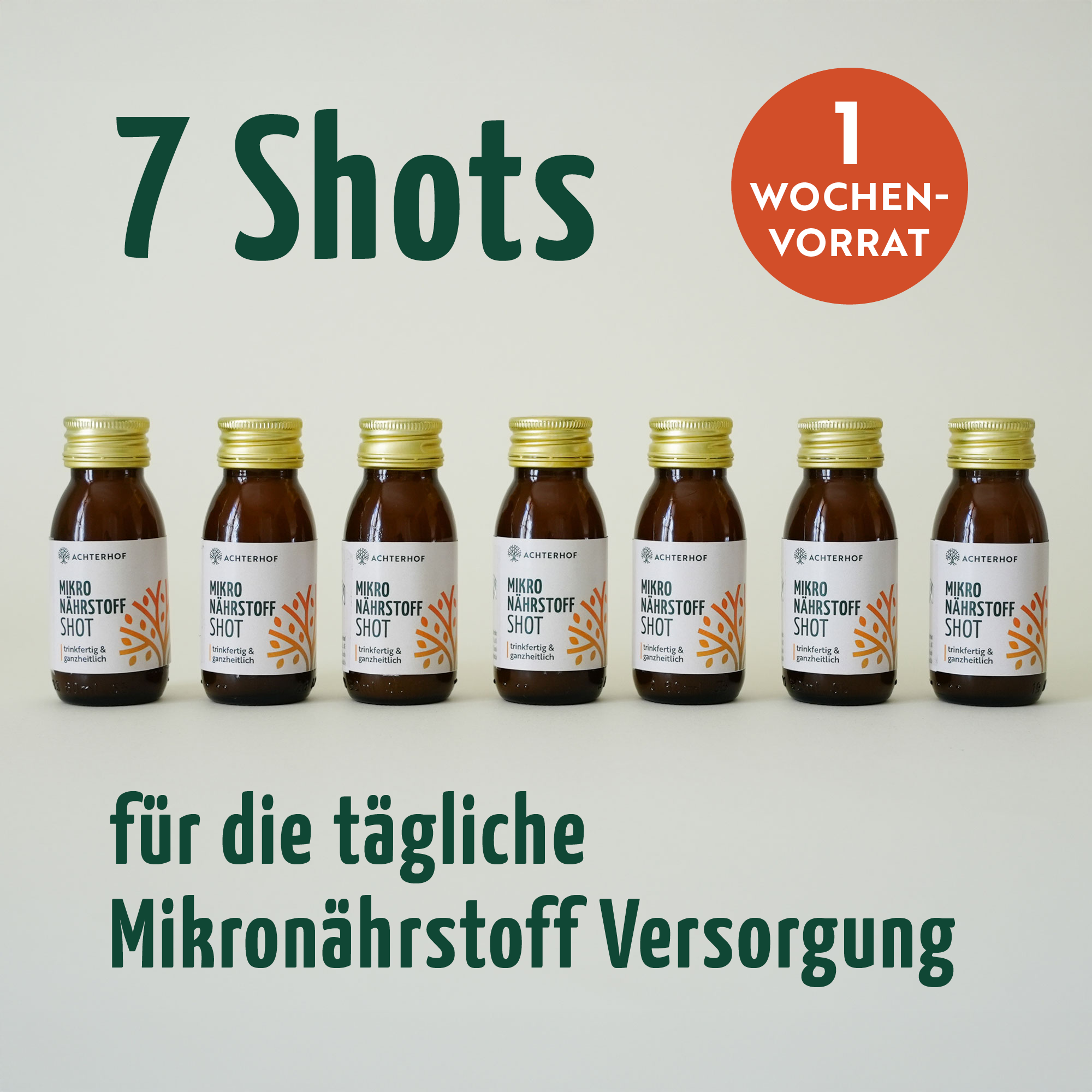 Fastendrinks 6 Flaschen Kräuterwunder Bio
