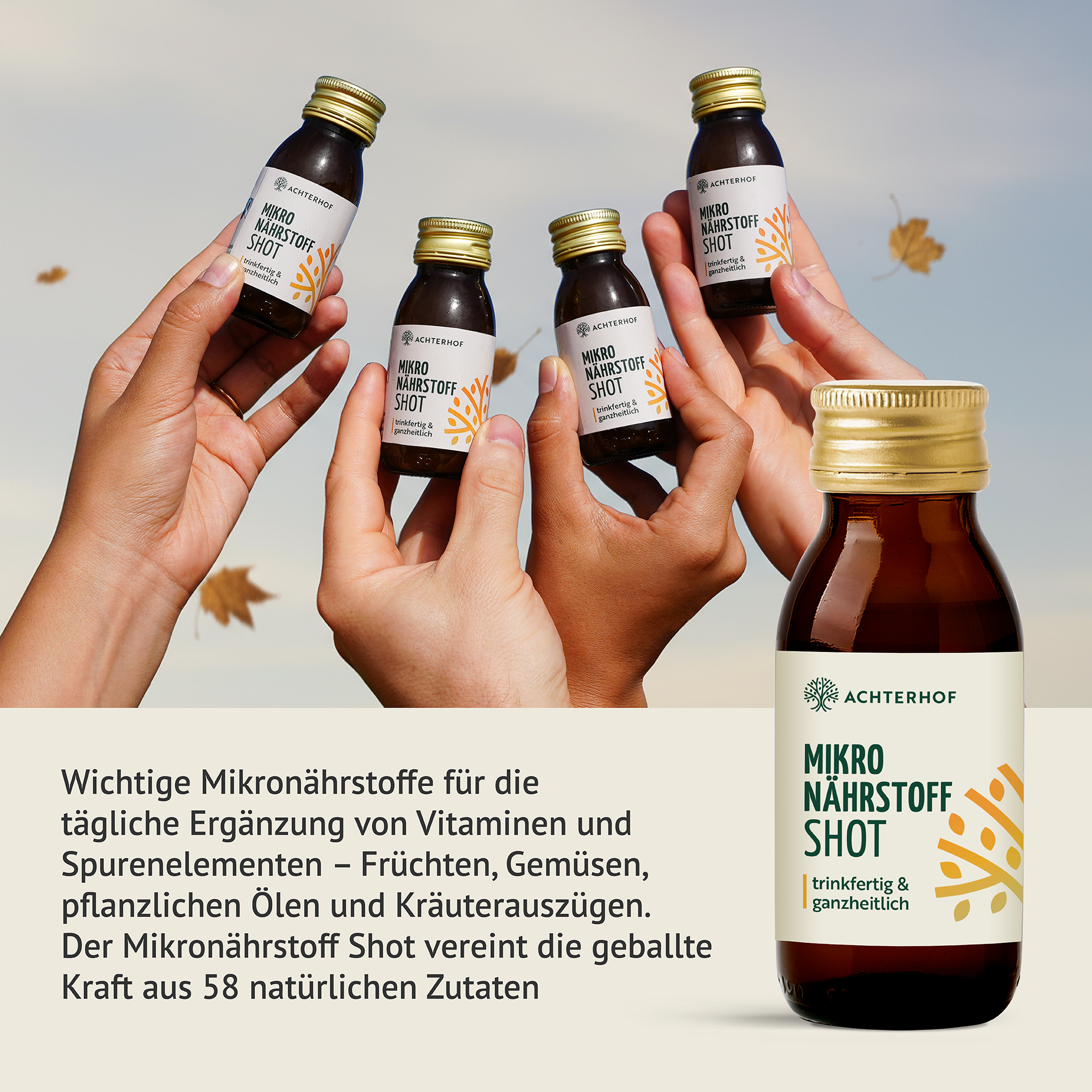 Fastendrinks 6 Flaschen Kräuterwunder Bio