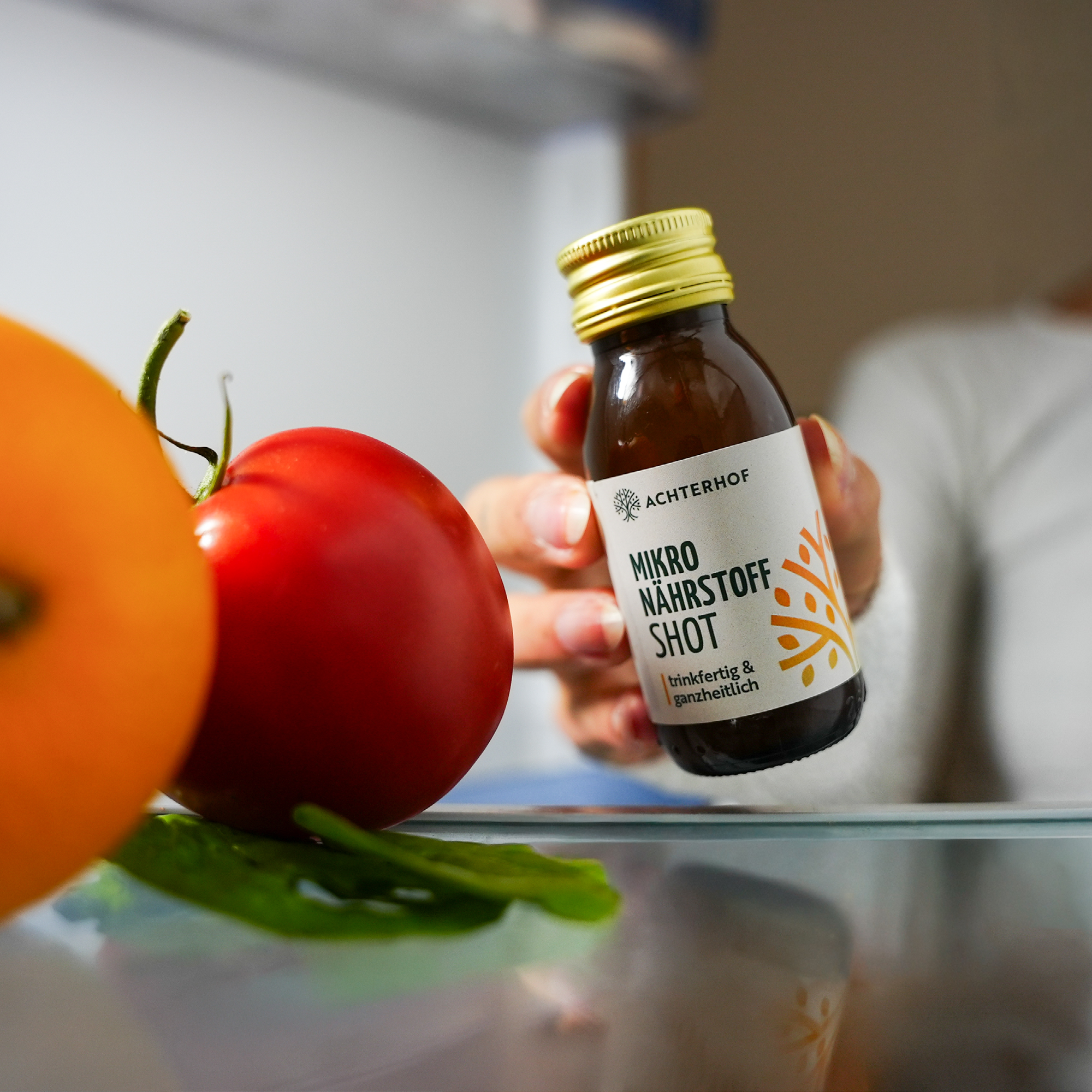 Fastendrinks 6 Flaschen Kräuterwunder Bio