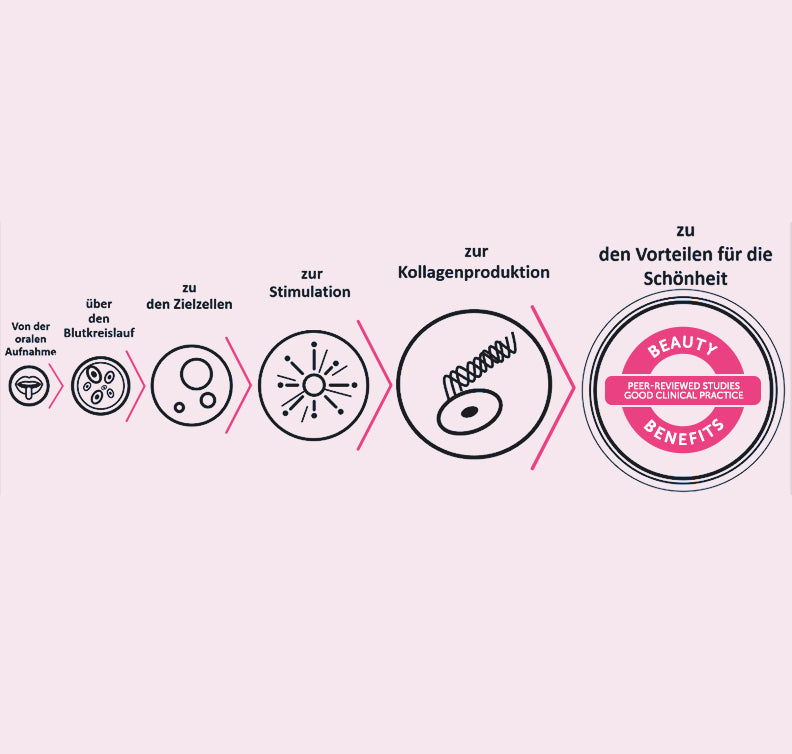 Kollagen Liquid (30x25ml Trinkfläschchen)