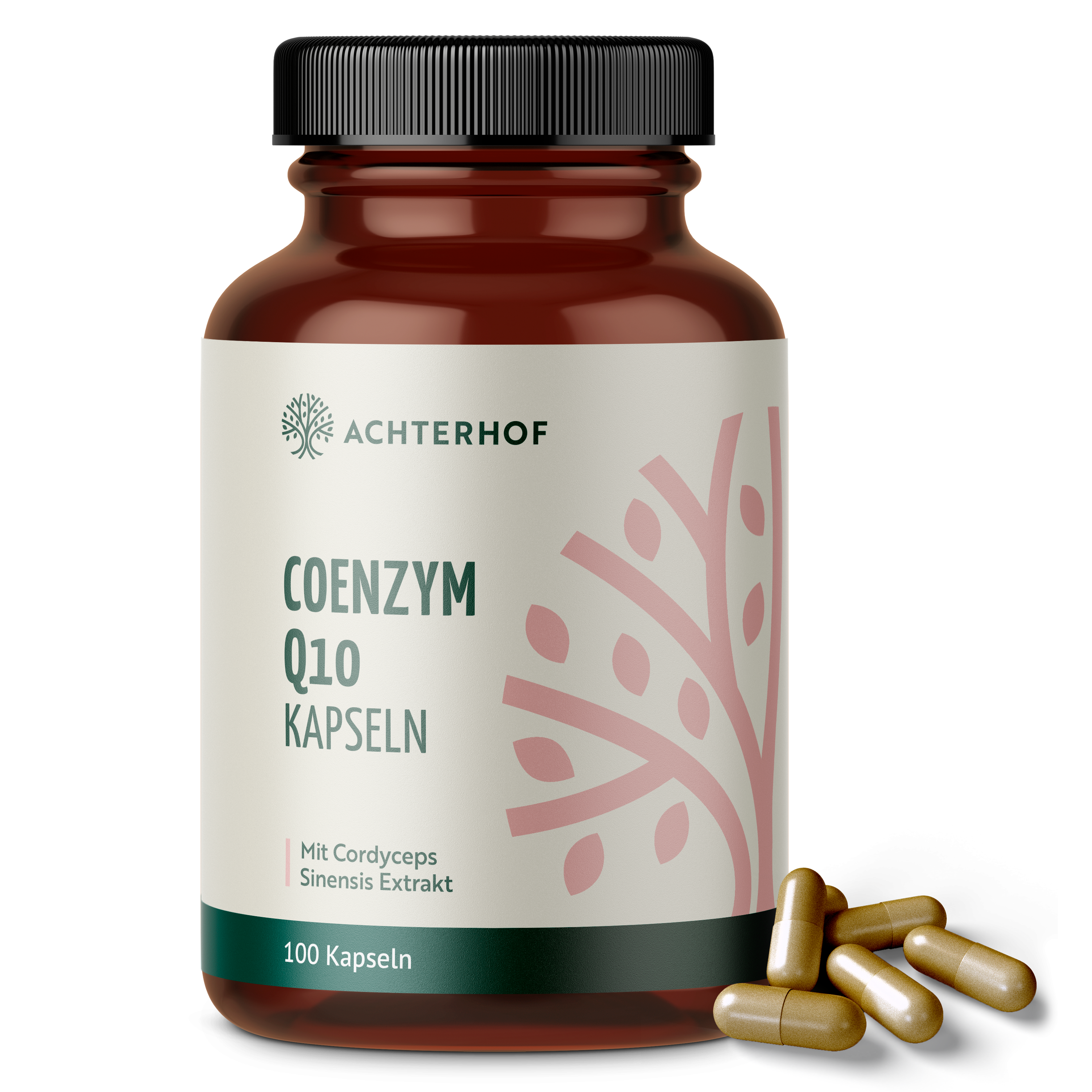 Coenzym Q10 (100 Kapseln)