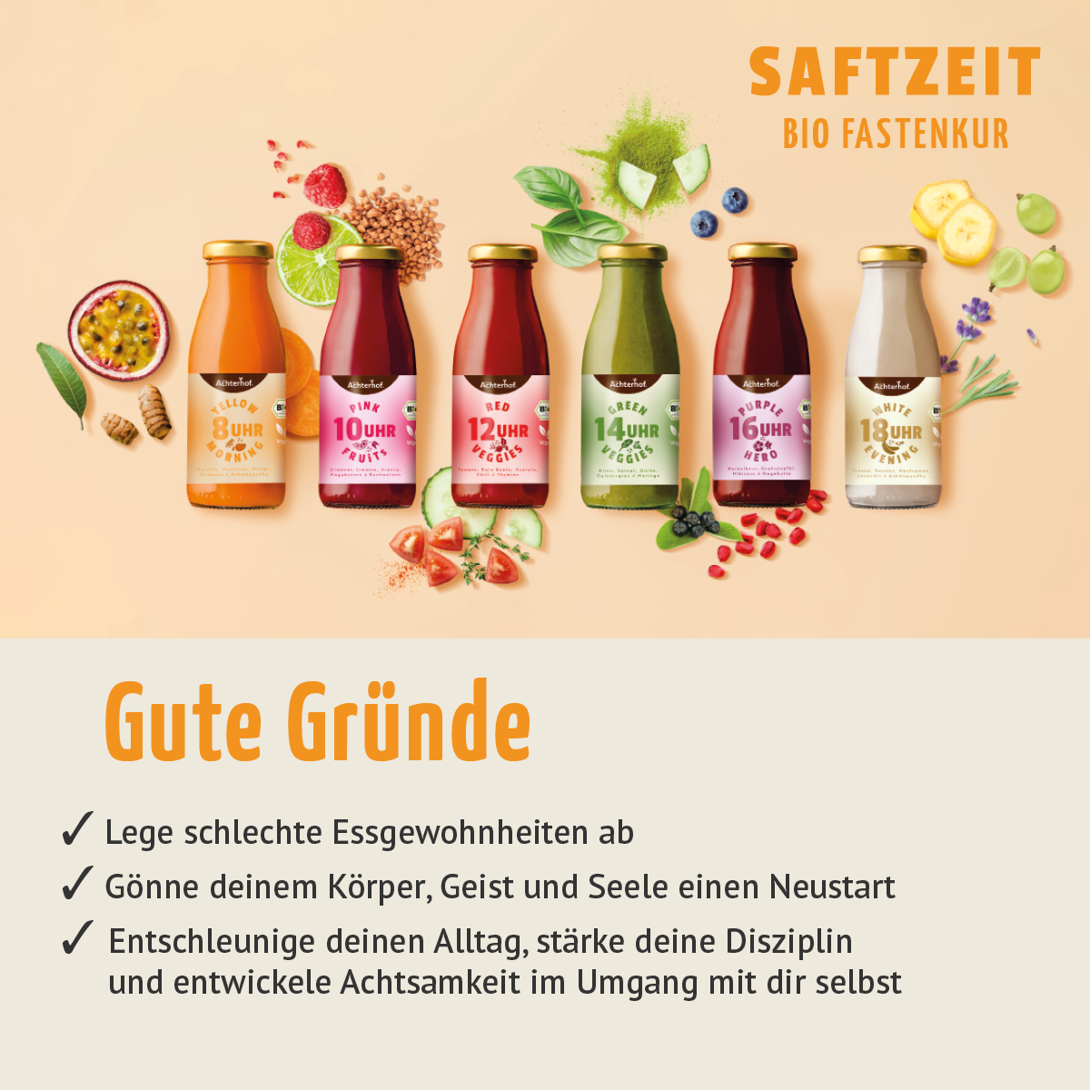 Saftzeit Bio Fastenkur 3 Tage (18 Flaschen)
