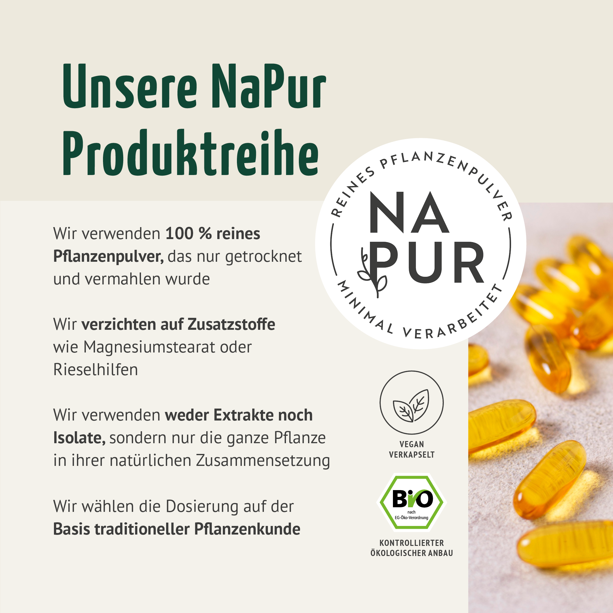 Schwarzkümmel-Öl Kapseln Bio (400 Kapseln)