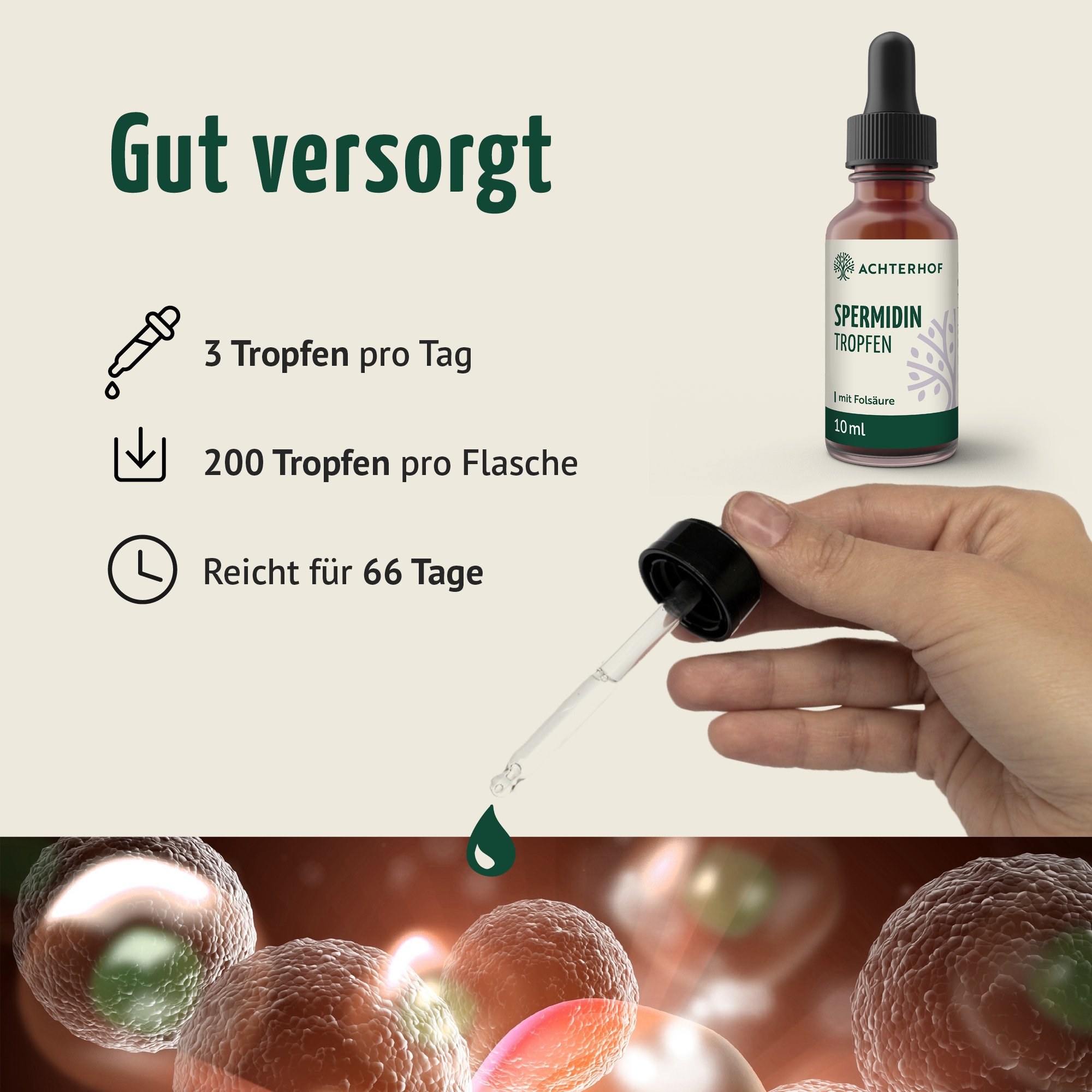 Spermidin B9 Tropfen (10ml)