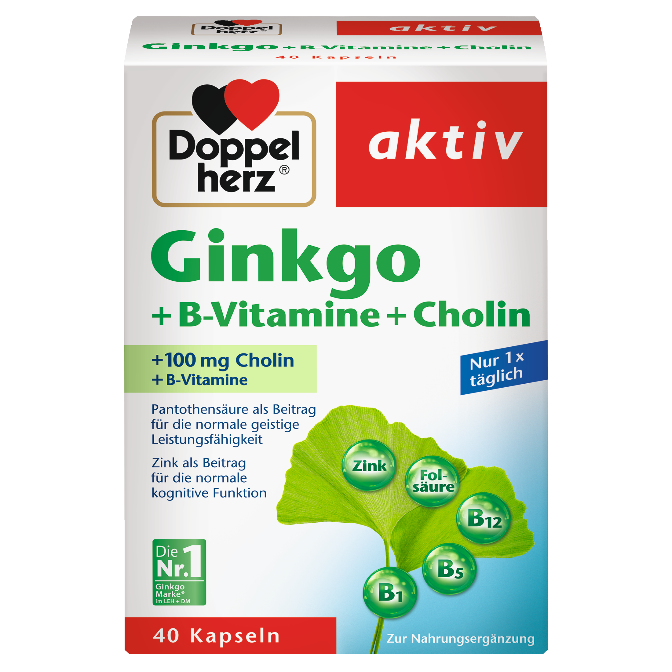 Ginkgo + Vitamin B + Cholin (40 Kapseln)