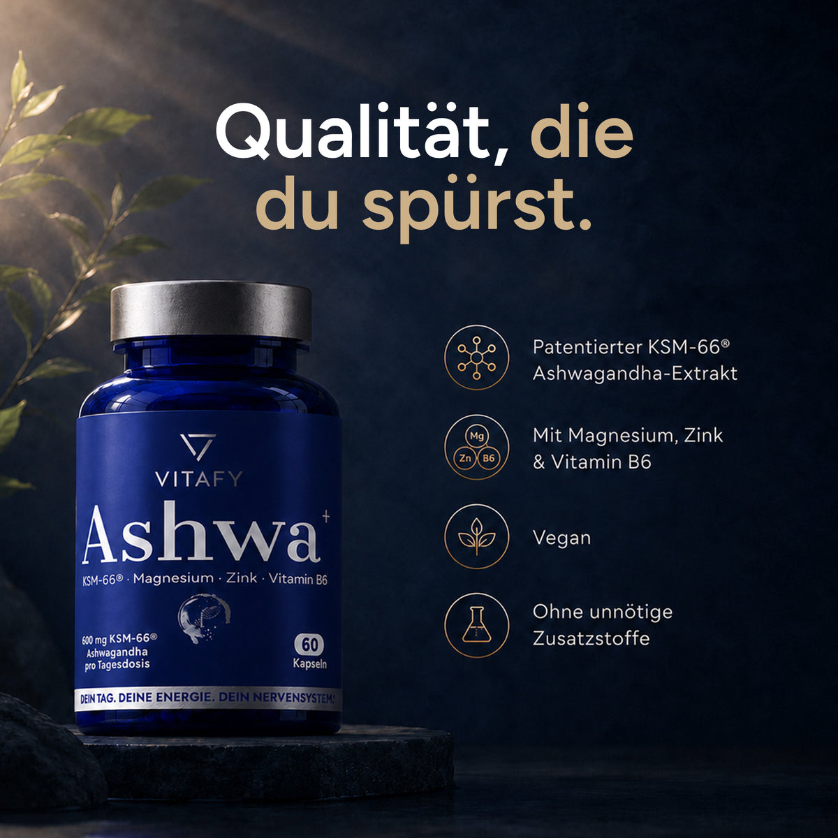 Ashwa+ Ashwagandha KSM-66™ mit Magnesium, Zink & Vitamin B6 (60 Kapseln)