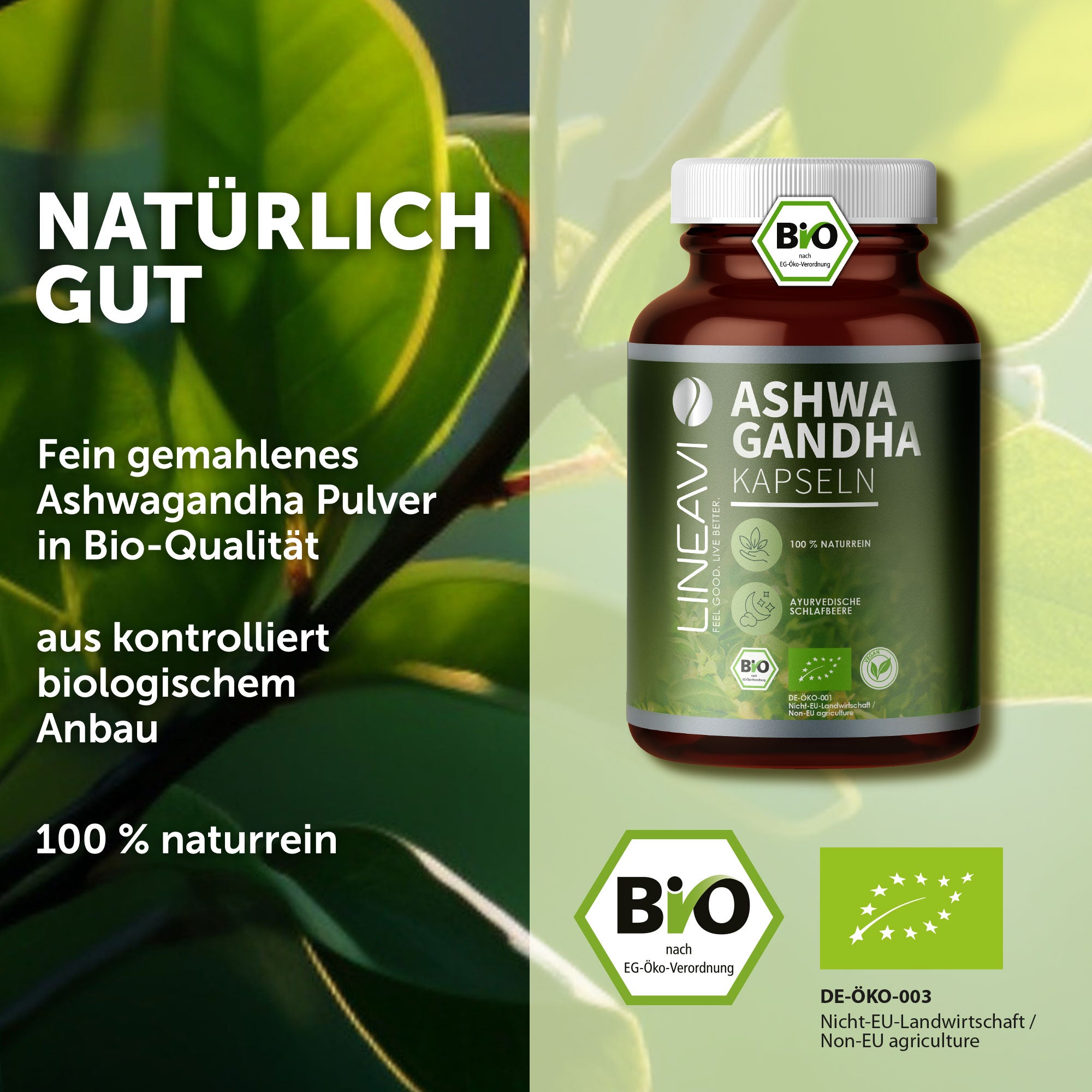 Doppelpack: Ashwagandha Kapseln bio (2x150 Kapseln)