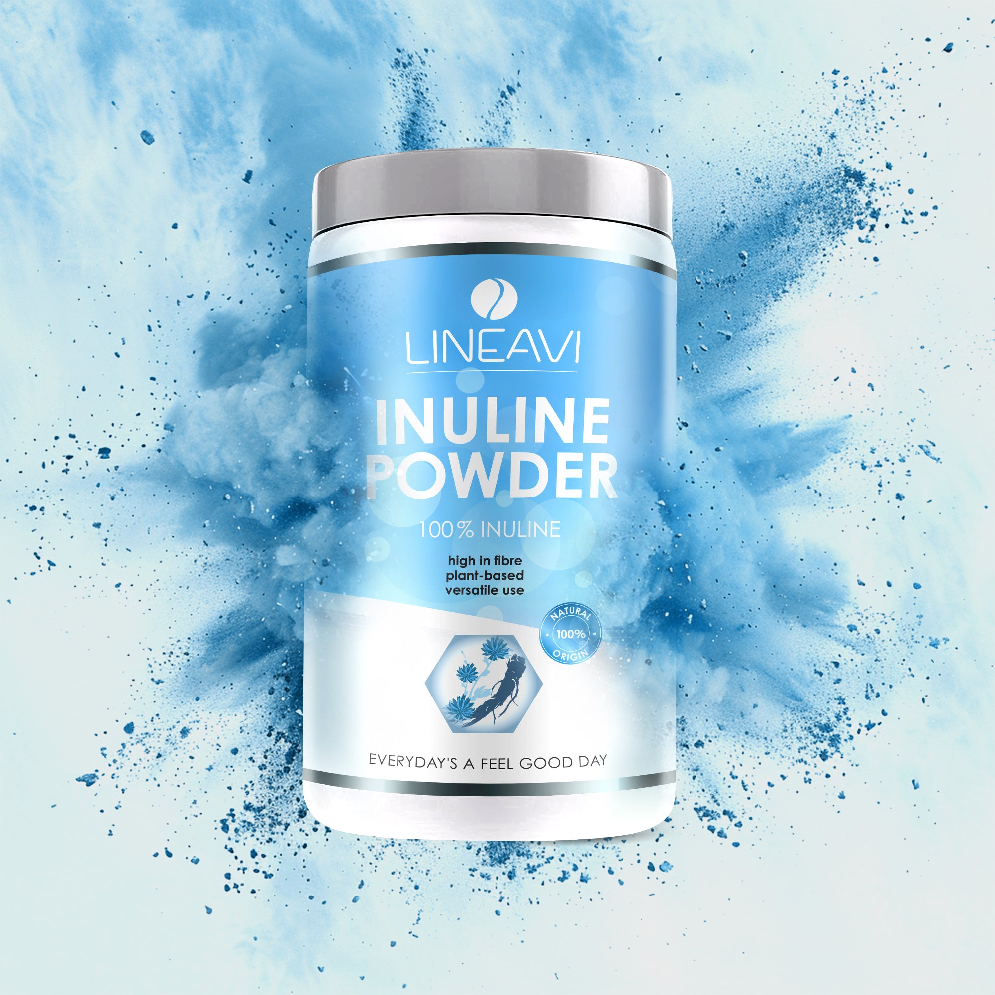 Doppelpack: Inulinpulver (2x500g)