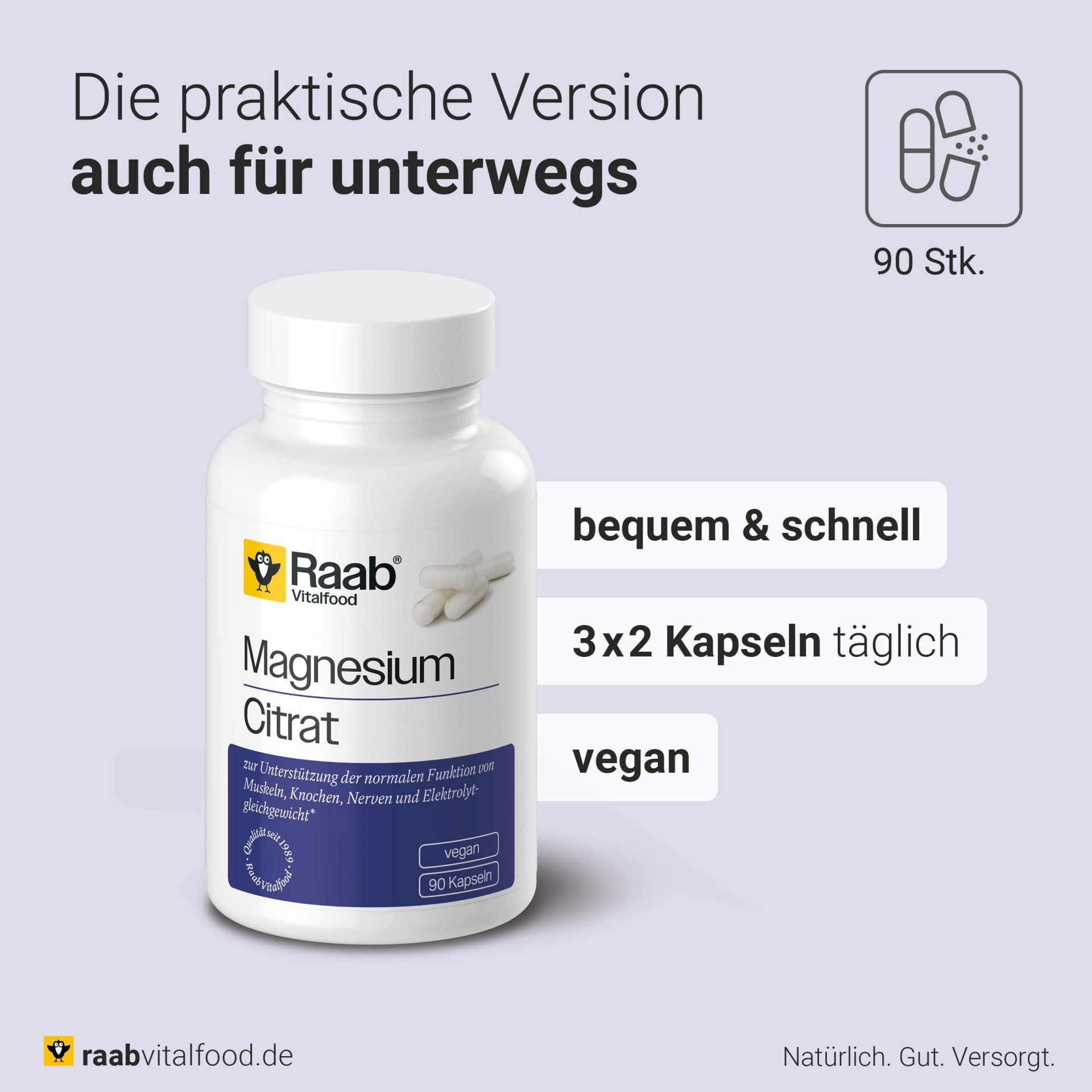 Magnesiumcitrat (90 Kapseln)