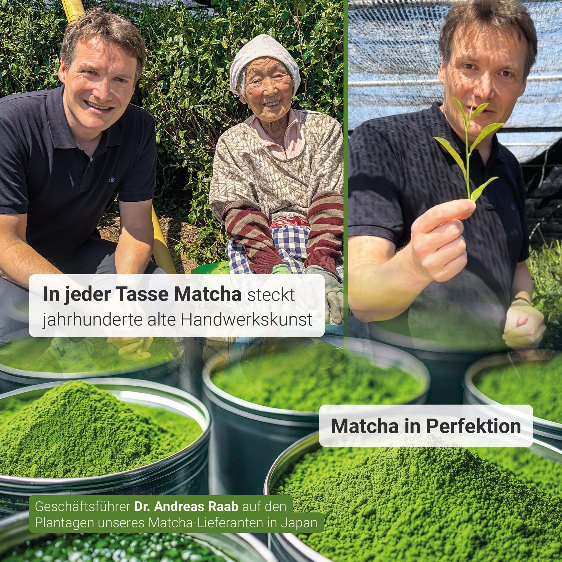 Bio Matcha Grüntee (60 Kapseln)