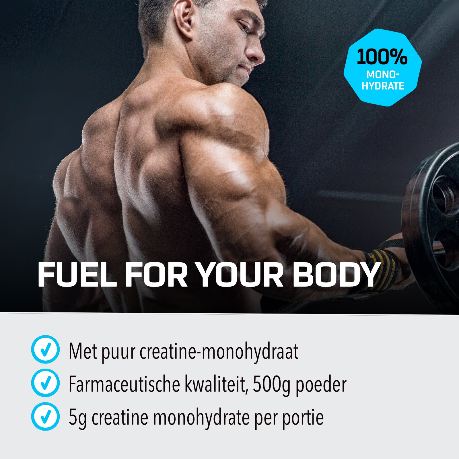 Creatine Powder (500g)