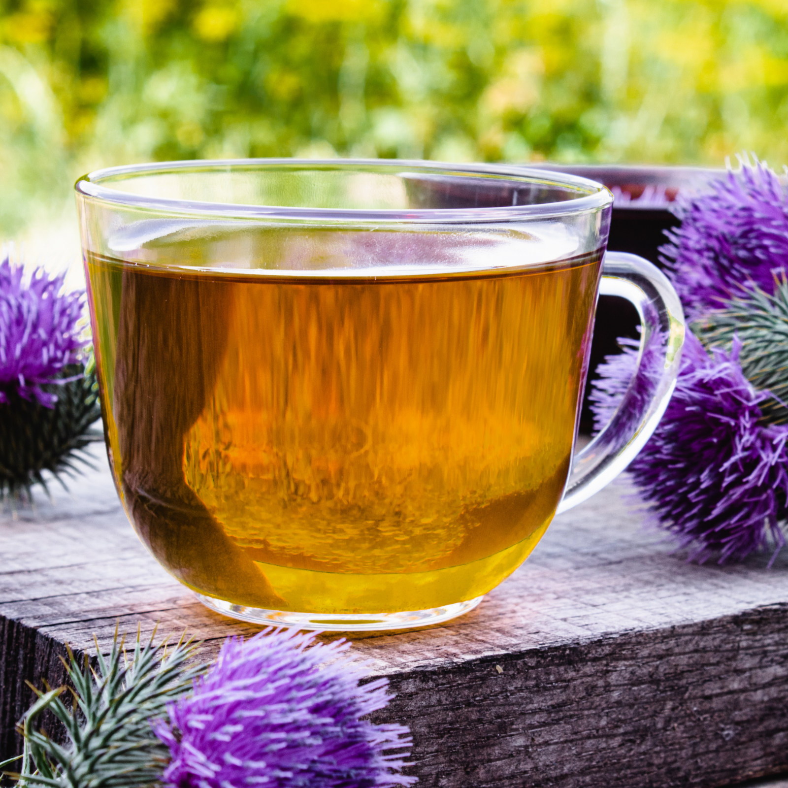 Mariendistelsamen (1000g)