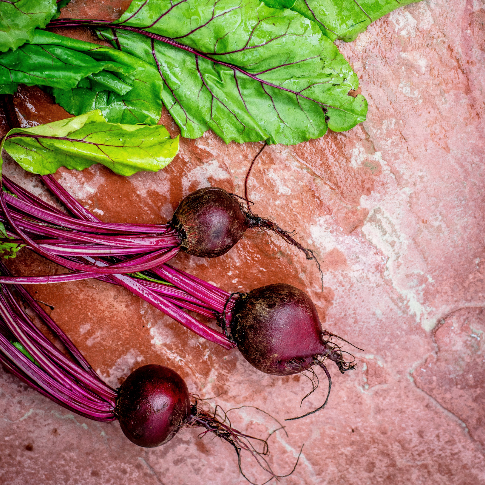 Rote Beete gemahlen (100g)