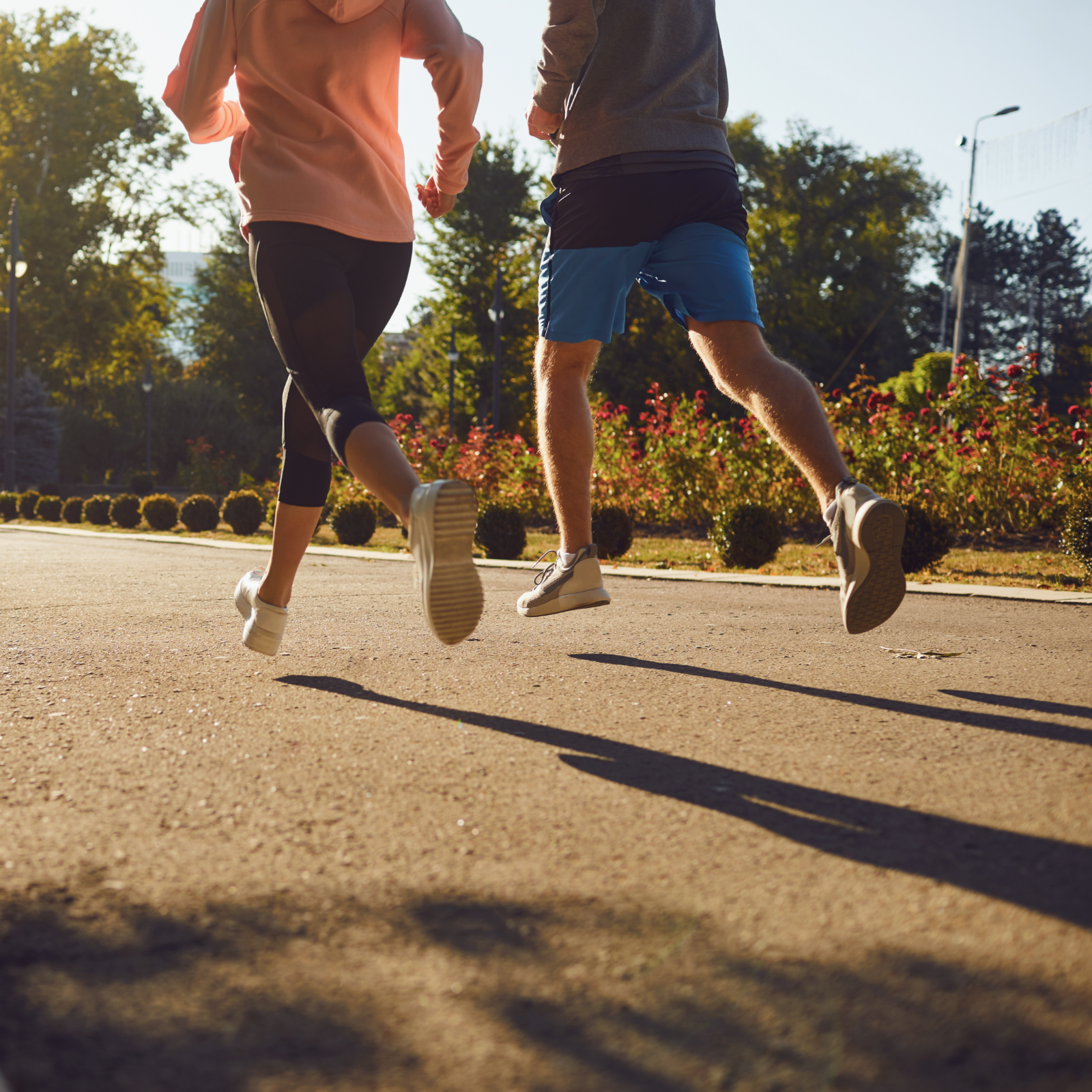 Magnesium Komplex (180 Kapseln)