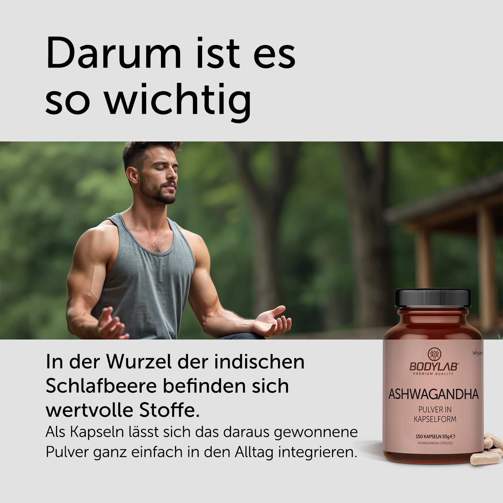 3 x Ashwagandha Pulver in Kapselform (3 x 150 Kapseln)