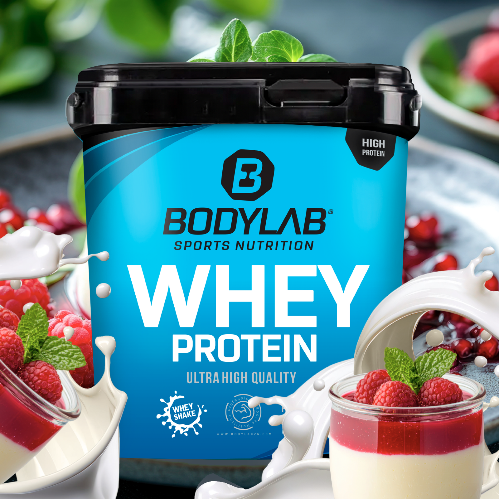 Whey Protein - SALE (2000g) Pannacotta