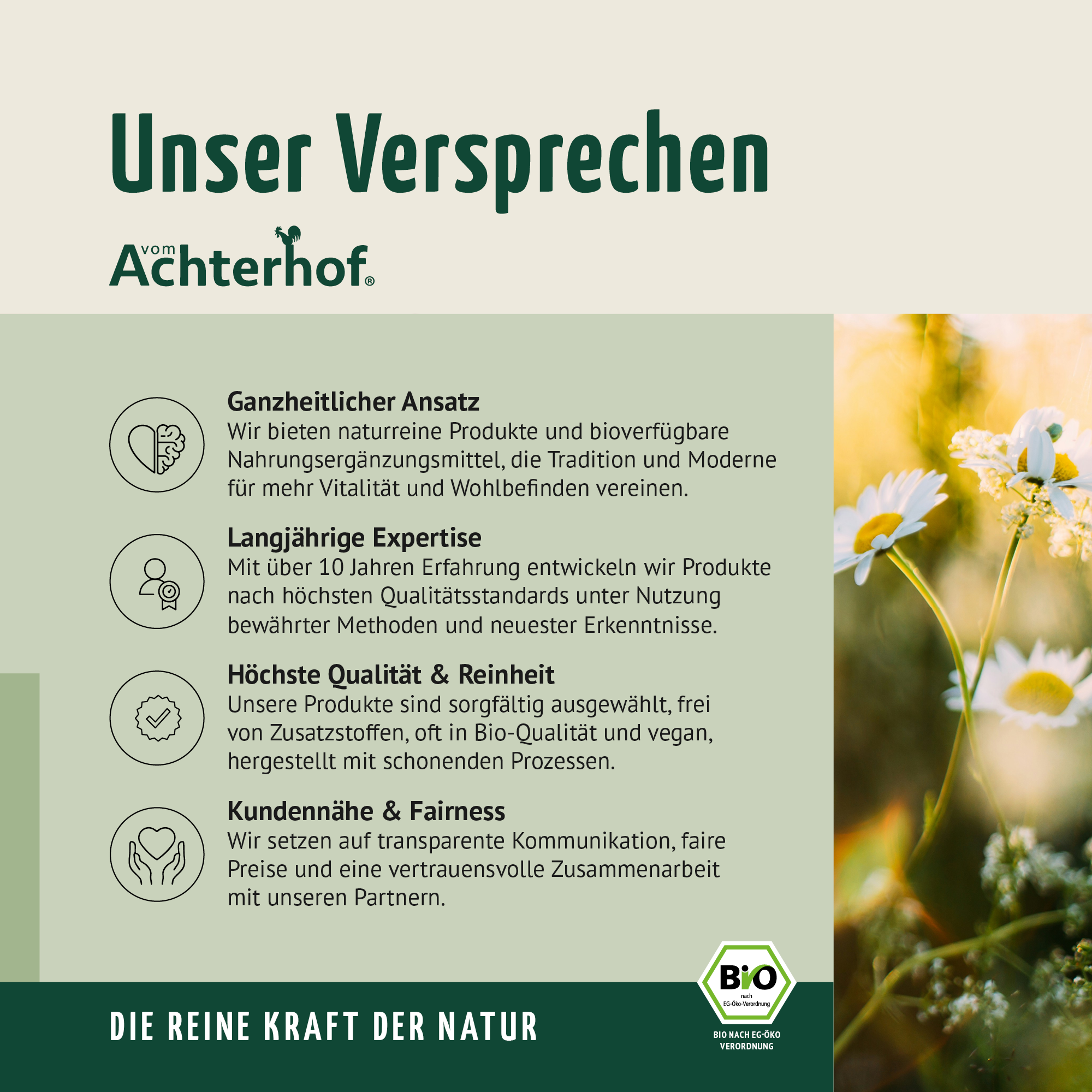 Bio Dattel Pulver (100g)
