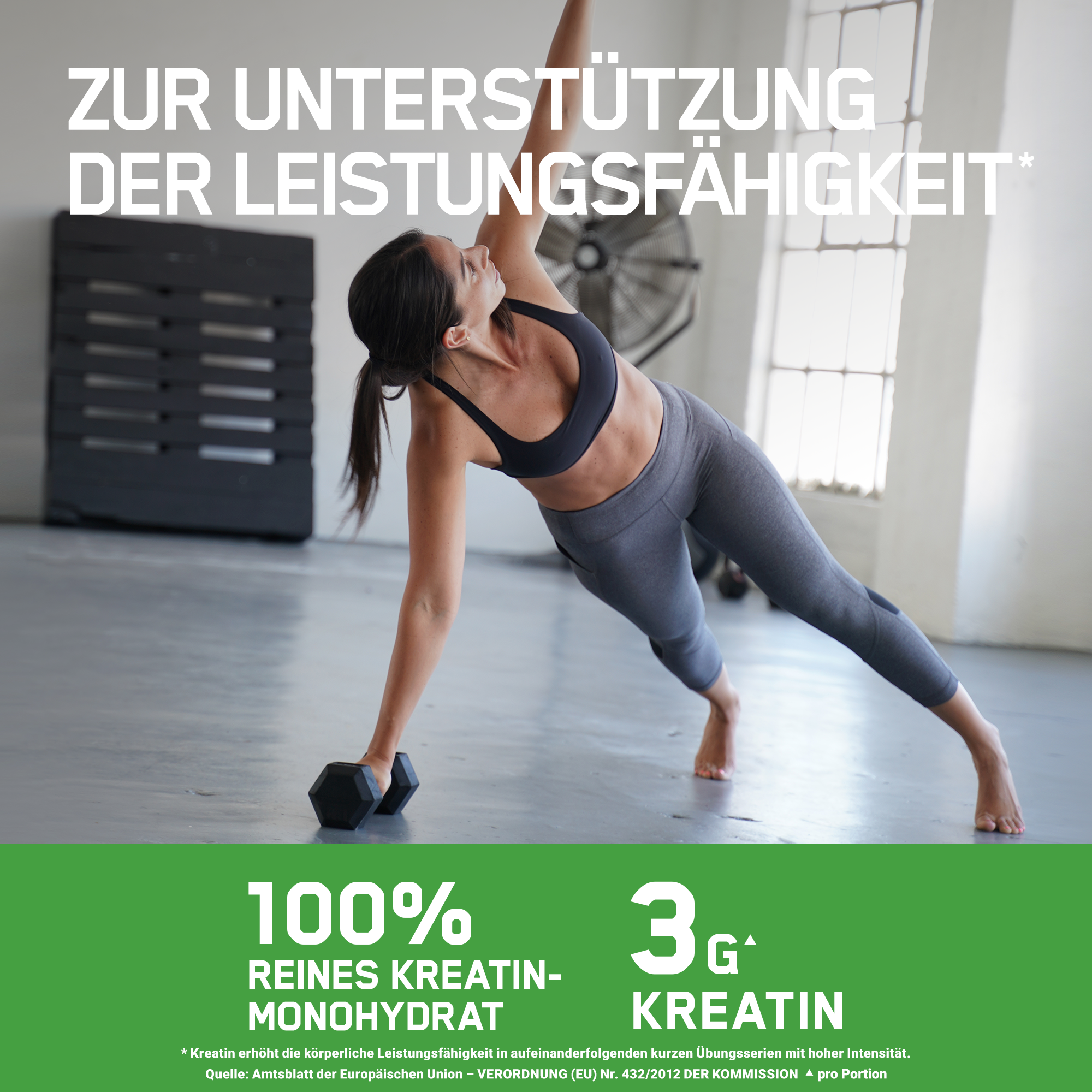 Micronized Creatine Powder (634g)
