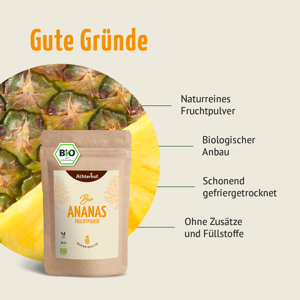 Bio Ananas Fruchtpulver (100g)