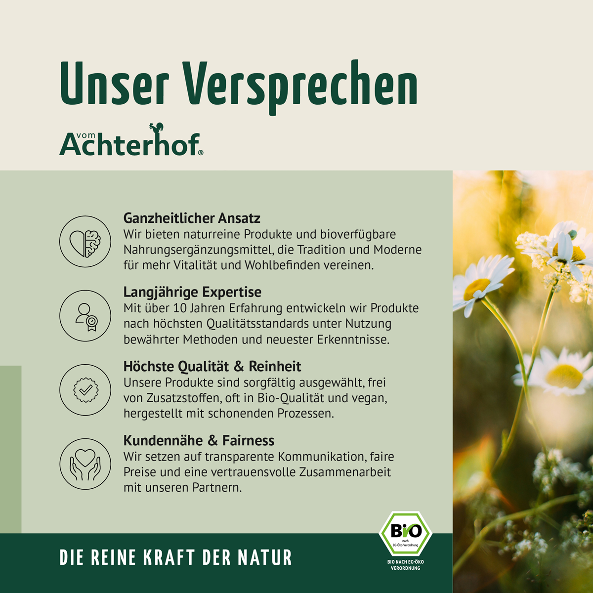 Bio Ananas Fruchtpulver (250g)