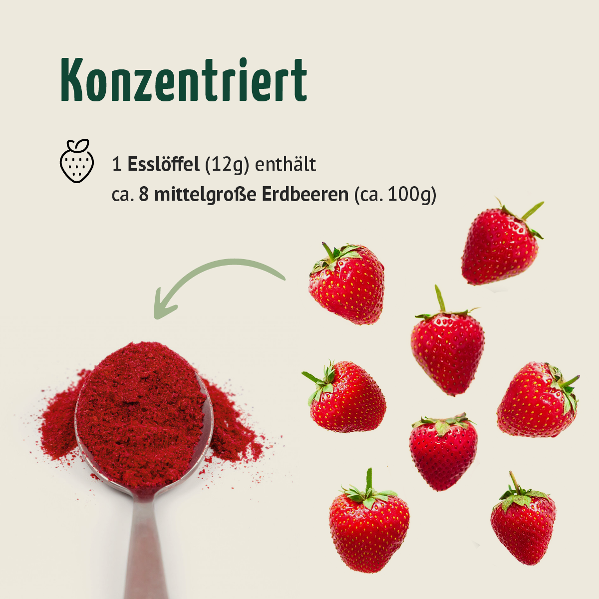 Bio Erdbeere Fruchtpulver (100g)