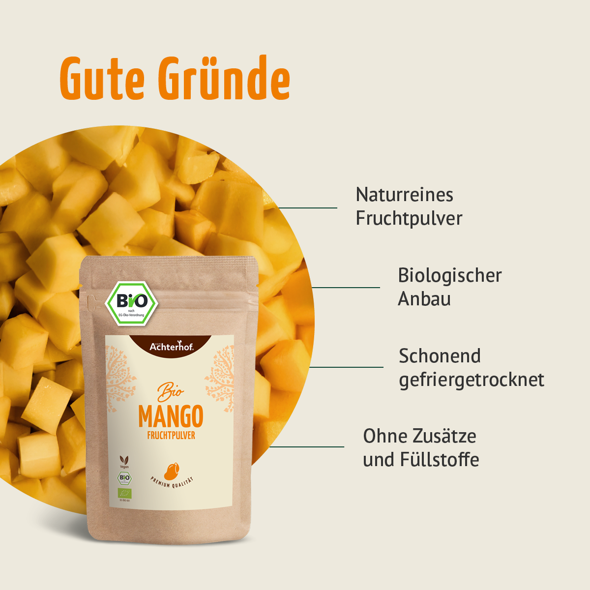 Bio Mango Fruchtpulver (250g)