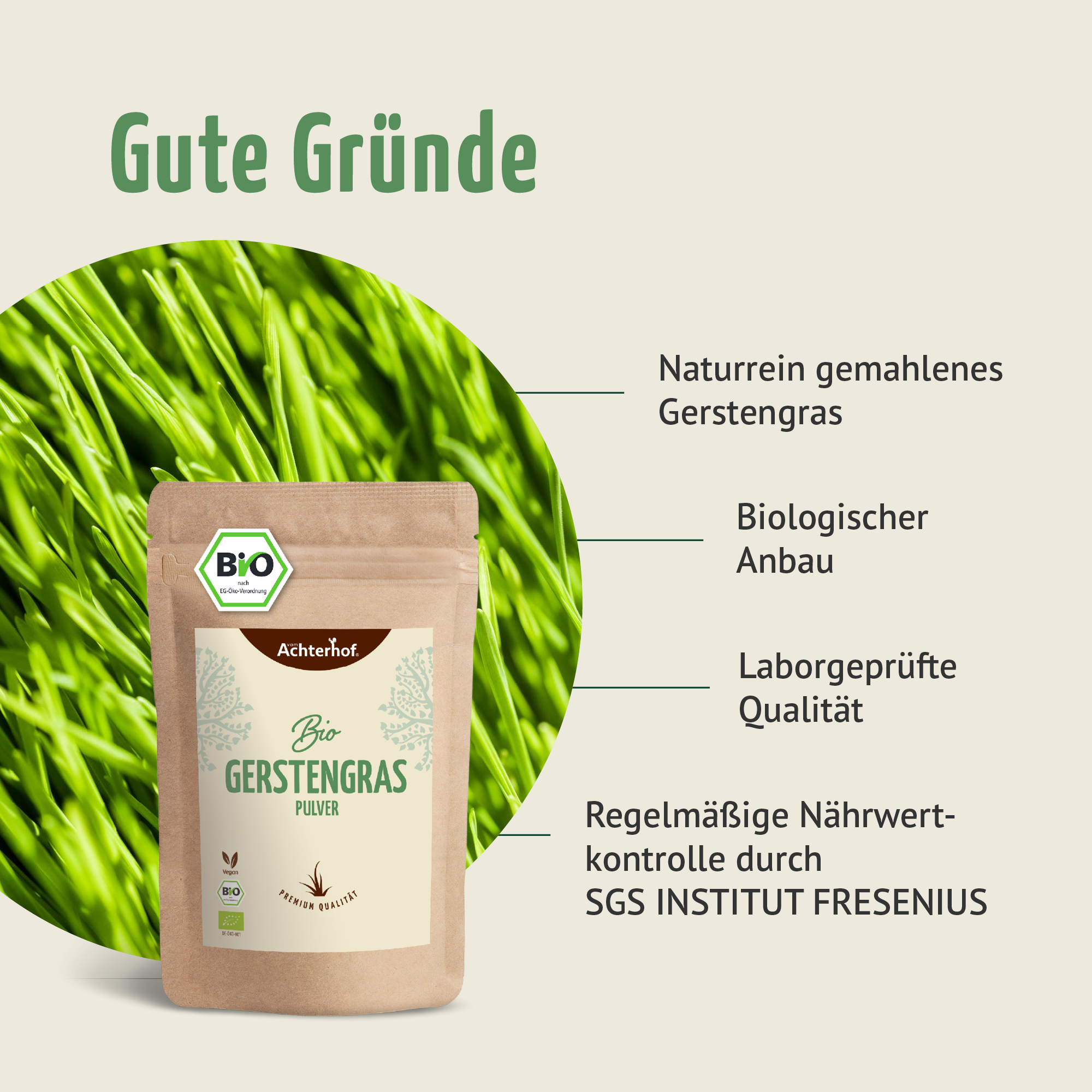 Gerstengras Pulver Bio (1000g)