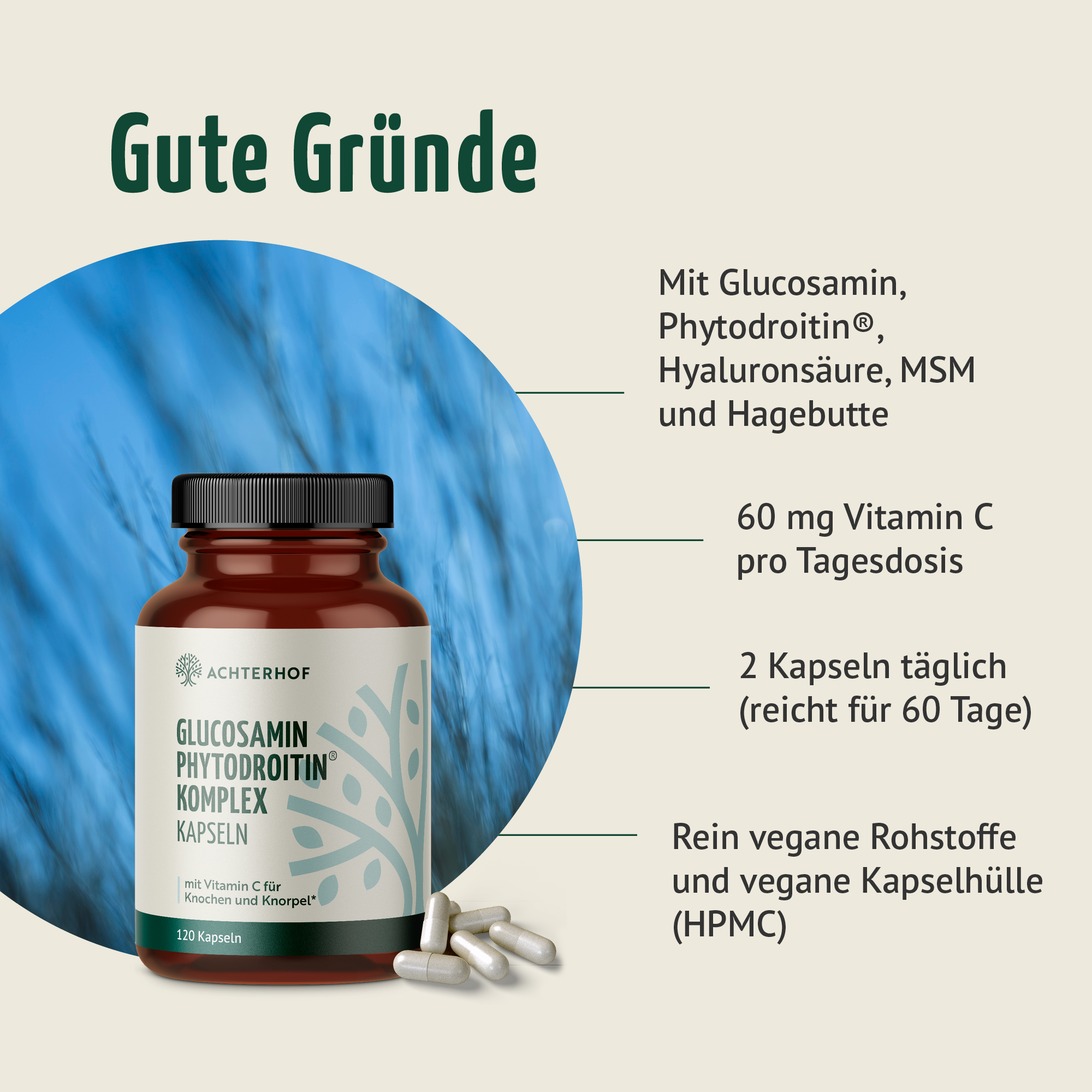 Glucosamin Phytodroitin® Komplex Kapseln (120 Kapseln)