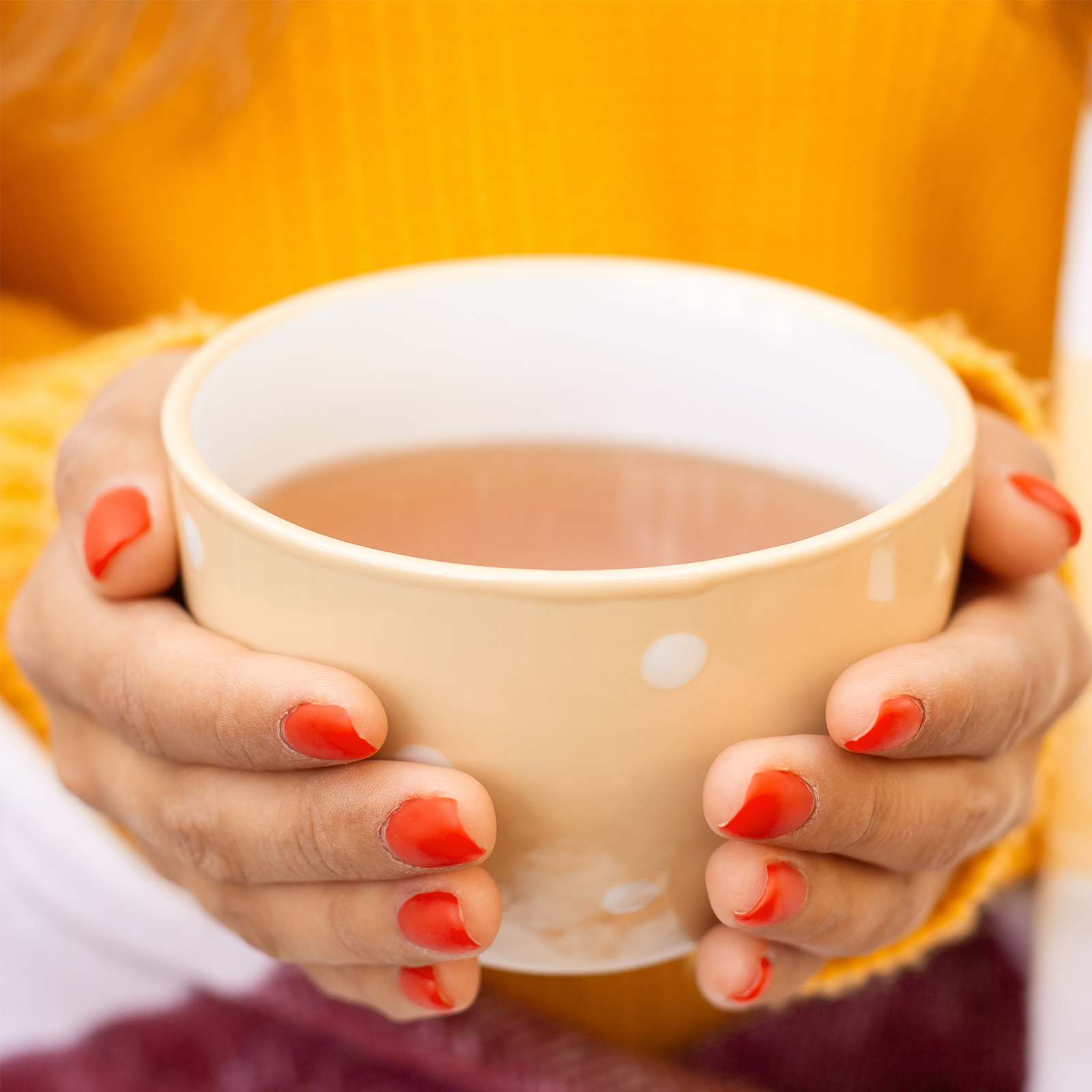 Goldrutenkraut geschnitten (500g)