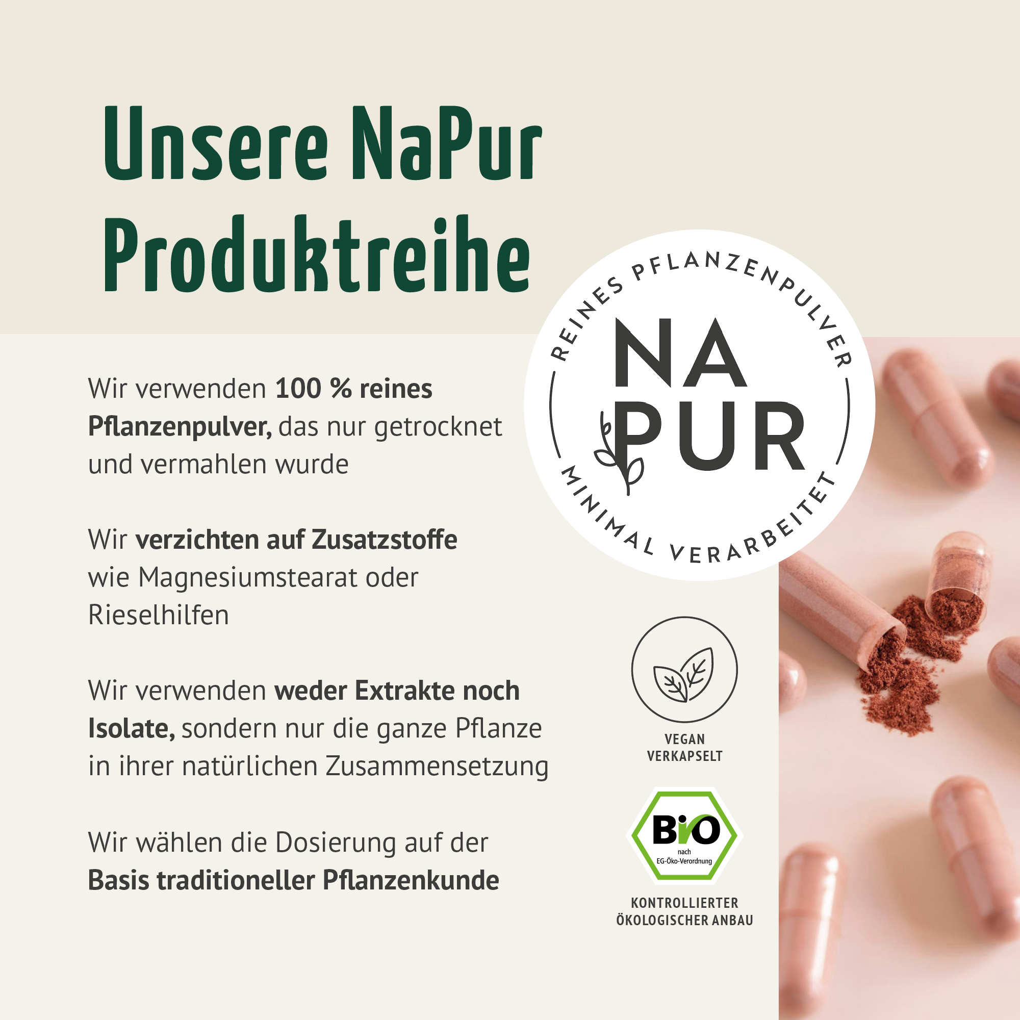 Hagebutten Kapseln Bio (180 Kapseln)