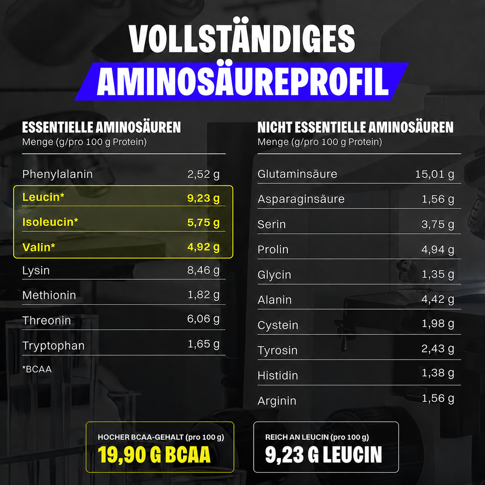 Whey Protein (1000g)