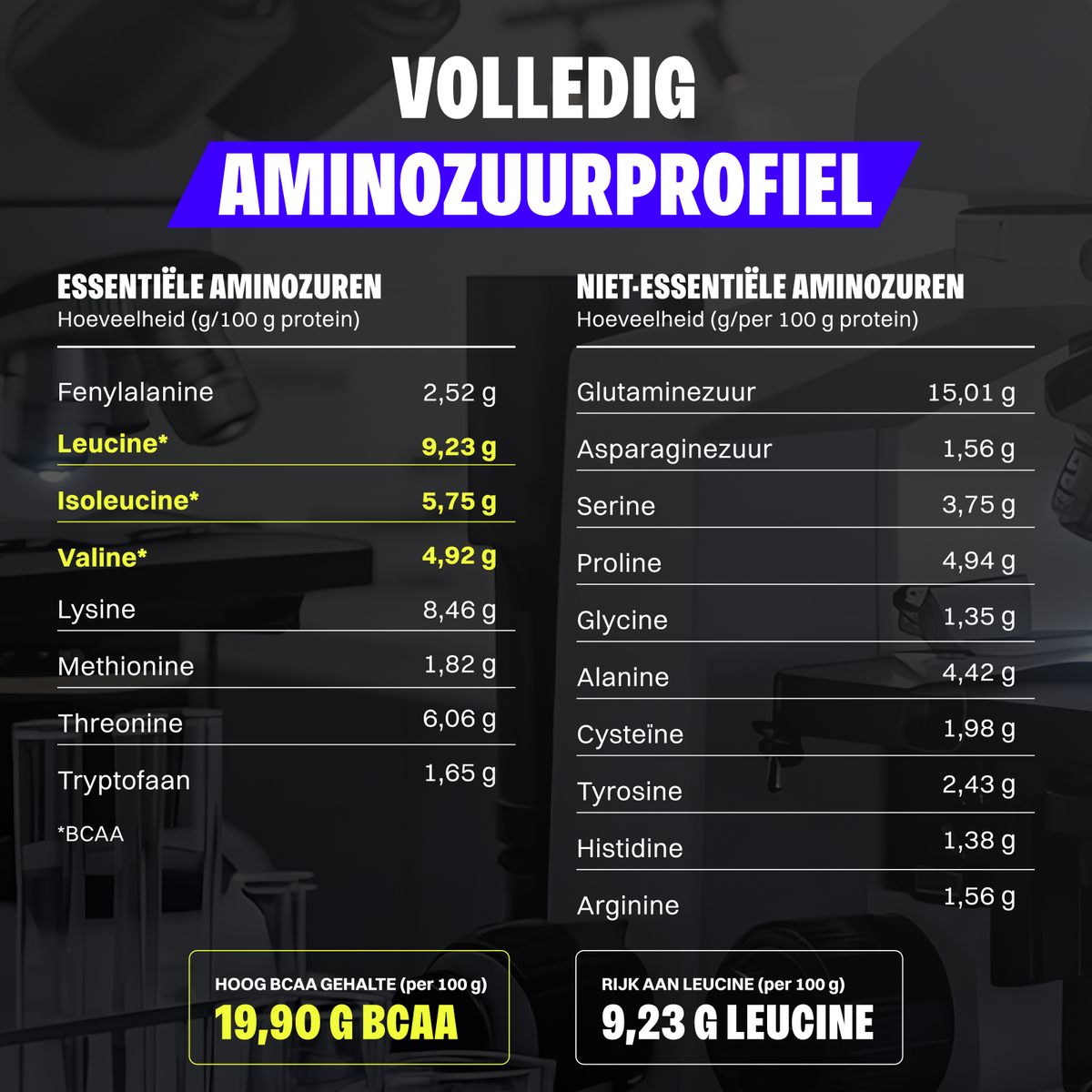Whey Protein (1000g)