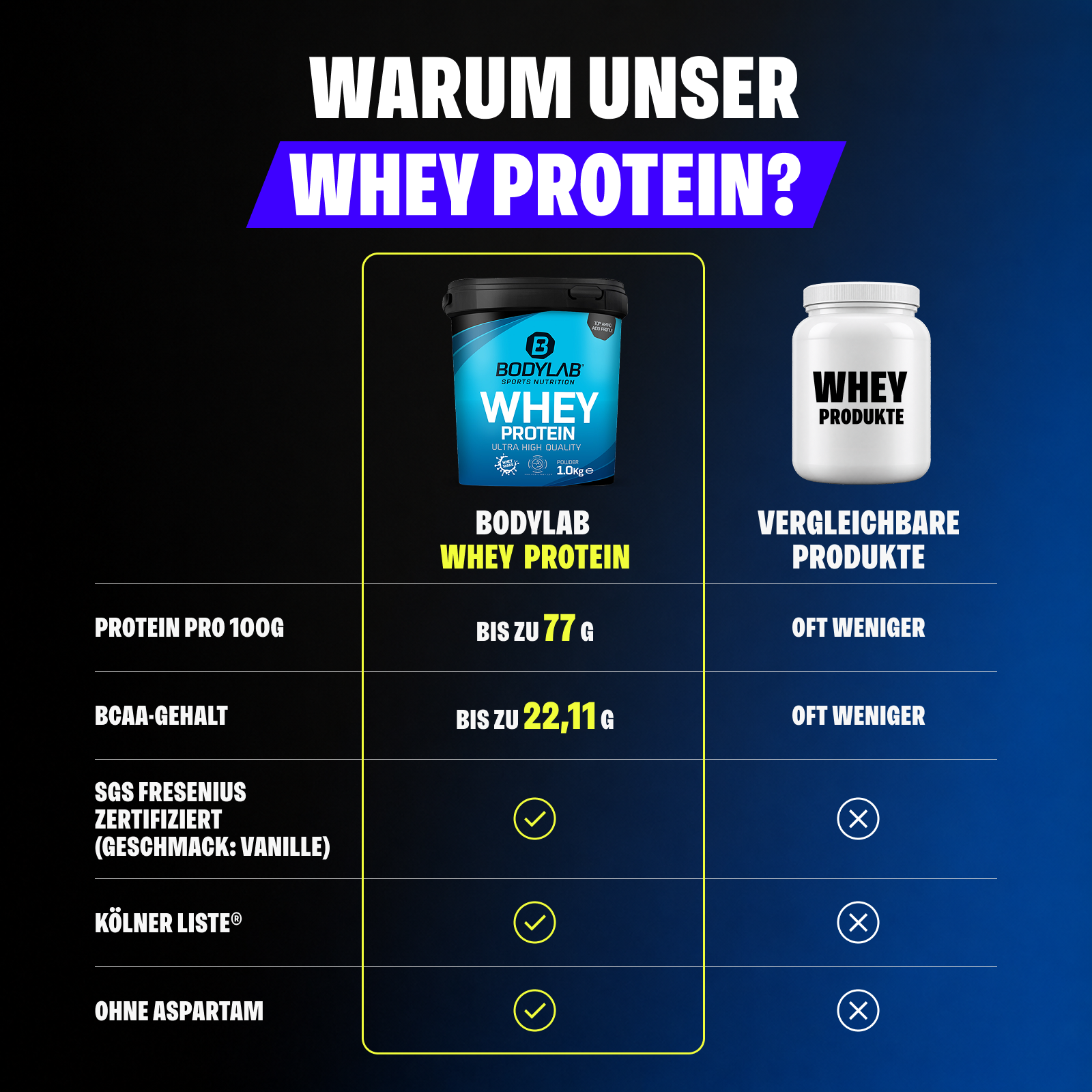 Whey Protein (1000g)